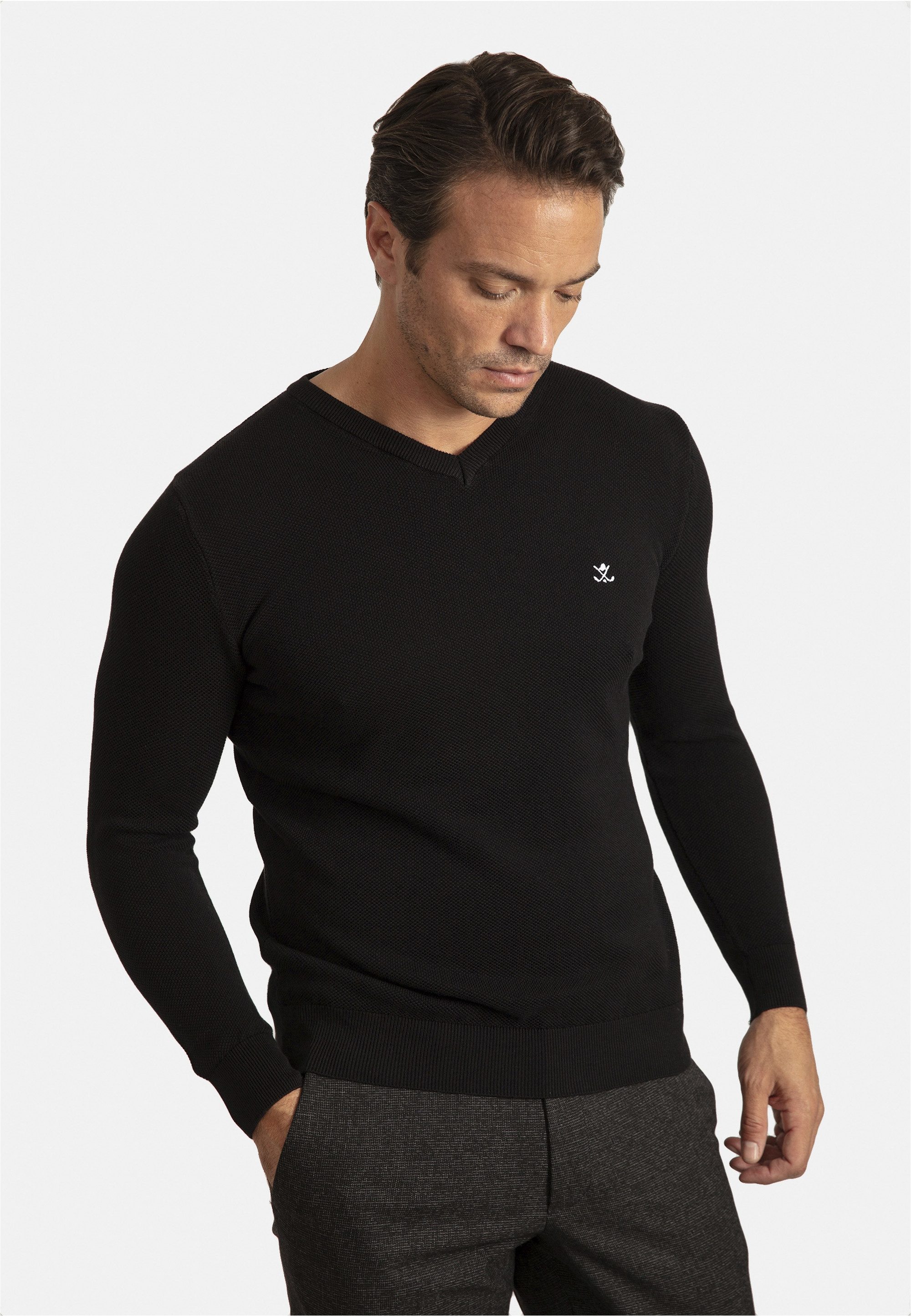 SIR RAYMOND TAILOR V-Ausschnitt-Pullover Liva mit elegantem V-Ausschnitt günstig online kaufen
