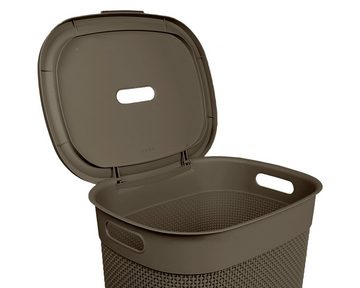 ONDIS24 Wäschebox Wäschekorb Filo aus Kunststoff 55 Liter, gut belüftet, neues italienisches Design, edle Verarbeitung