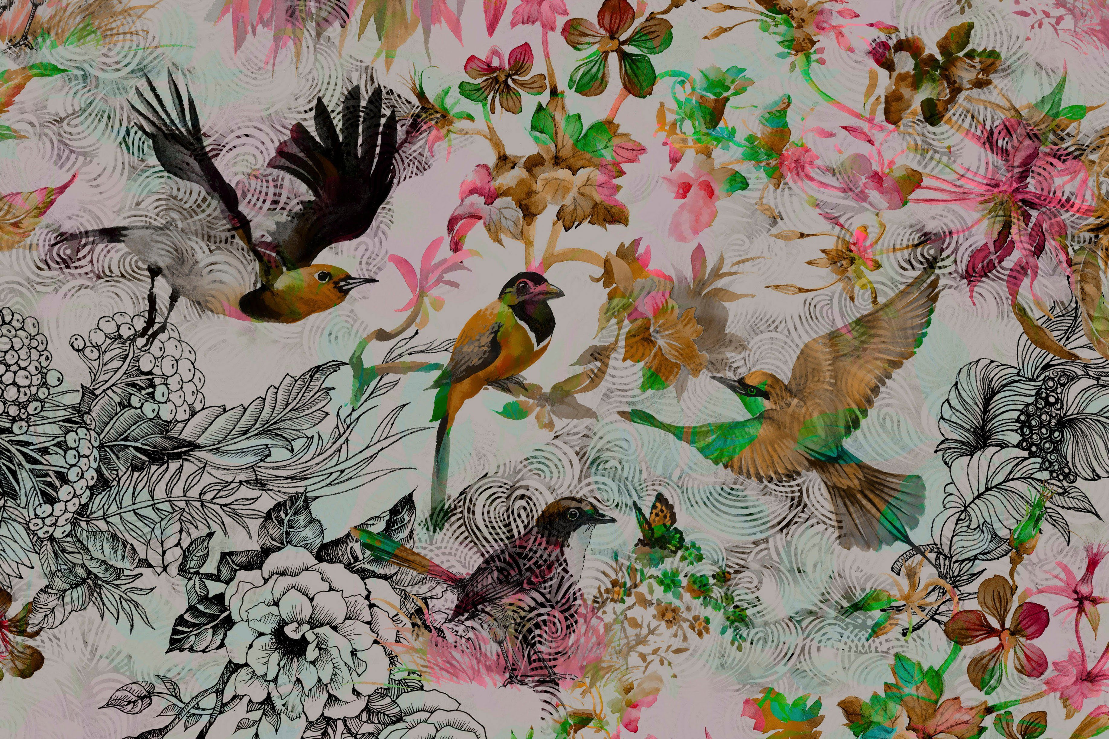 Bild mit Vögel Keilrahmen rosa, (1 A.S. Floral Vögel Leinwandbild funky St), Création birds, grau, grün