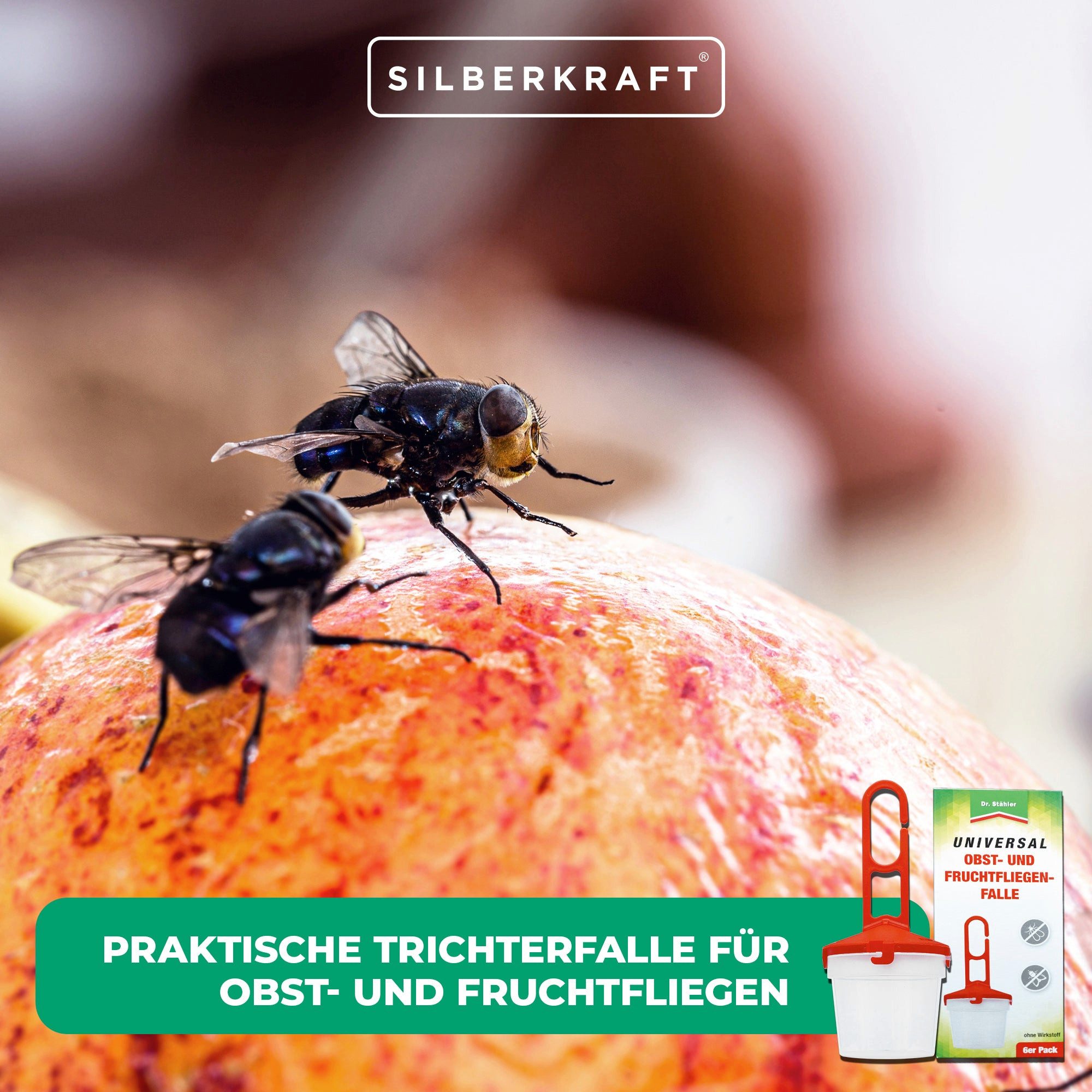 Dr. Stähler Insektenfalle Universal Obst- und Fruchtfliegenfalle - Lockstoff gegen Fruchtfliegen