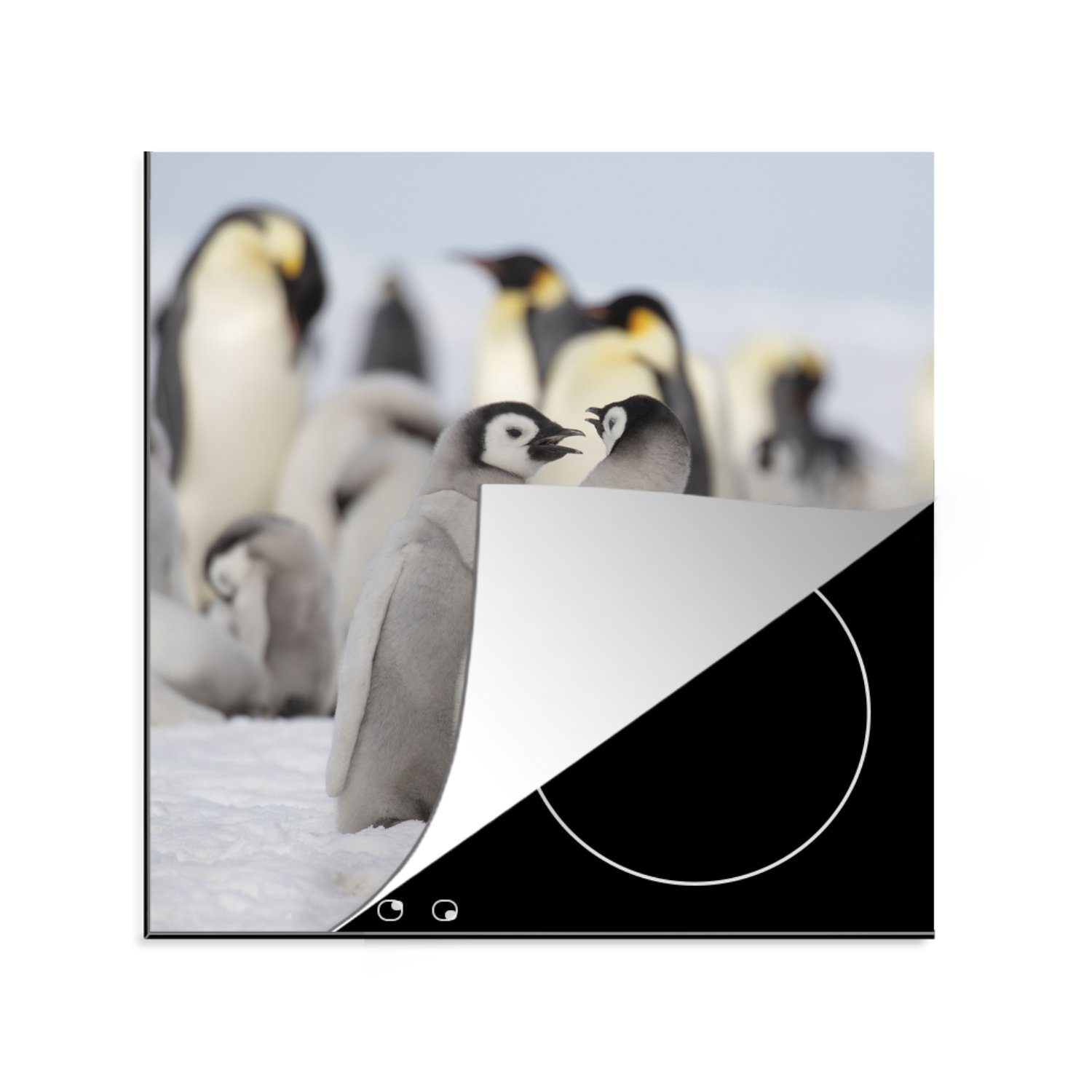 MuchoWow Herdblende-/Abdeckplatte Pinguin - Schnee - Vinyl, 78x78 küche Baby, für (1 tlg), Ceranfeldabdeckung, Arbeitsplatte cm
