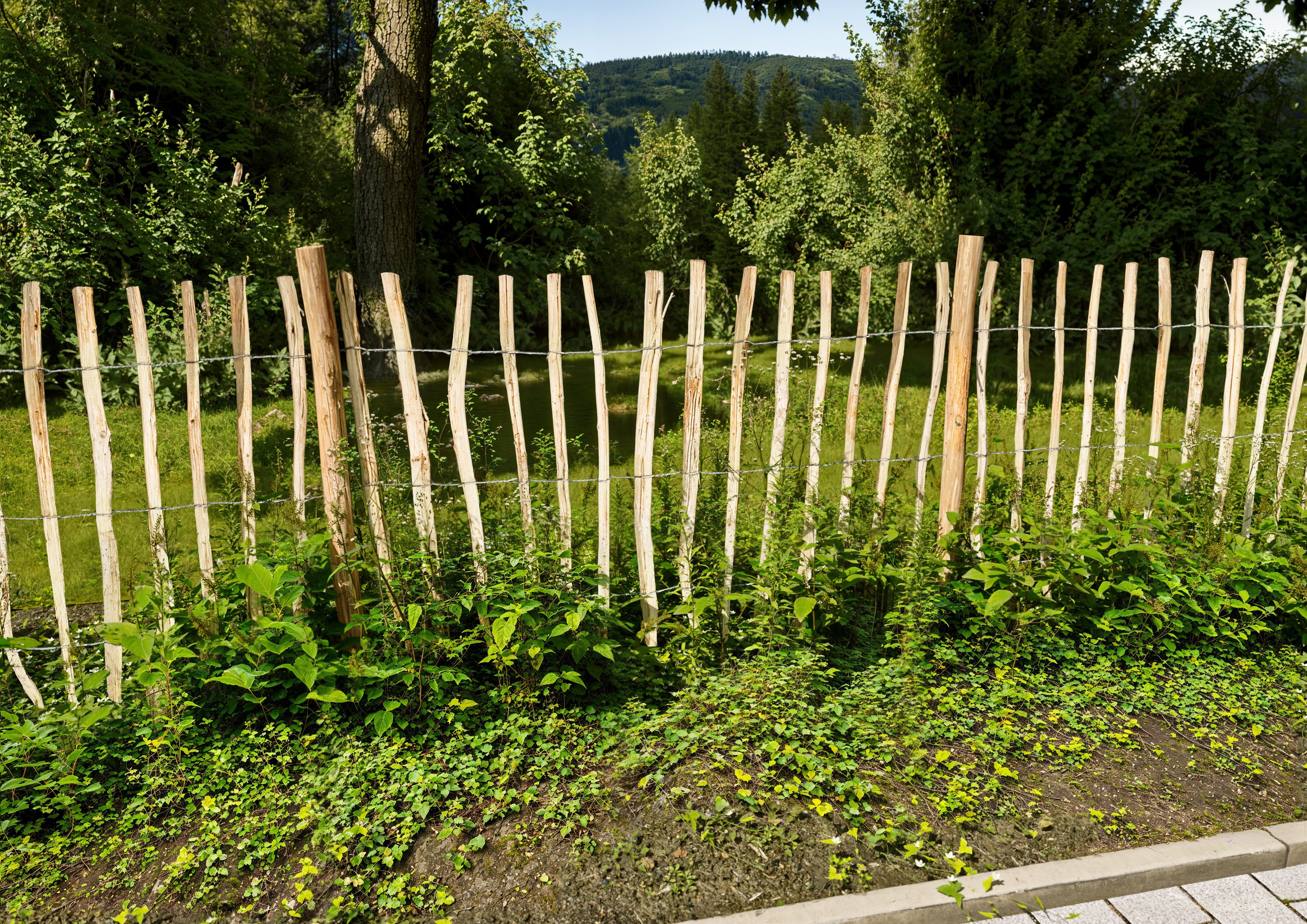 KONIFERA Staketenzaun Rollzaun Haselnuss, HxB: 120x500 oder 150x300 cm, für Abgrenzungen oder Einfassungen im Garten