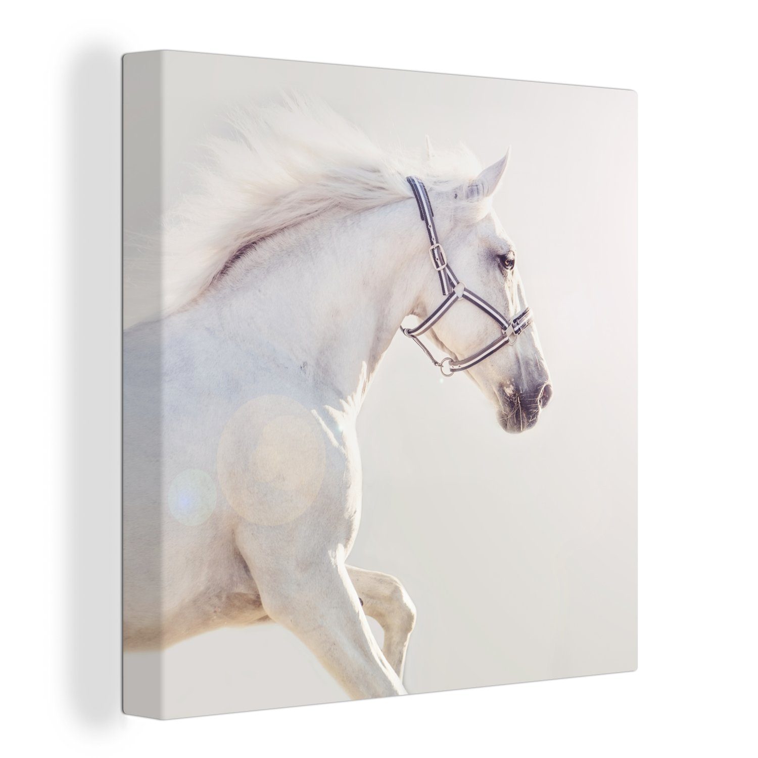 Vortrefflichkeit OneMillionCanvasses® Leinwandbild Pferd - Bilder für Leinwand Schlafzimmer Weiß Wohnzimmer St), (1 Mähne, bunt 