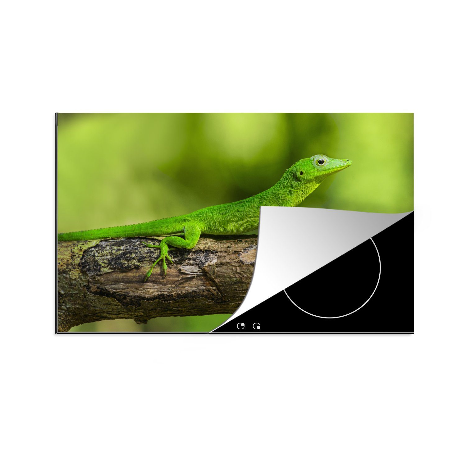 MuchoWow Herdblende-/Abdeckplatte Grüner Gecko auf einem Baumstumpf, Vinyl, (1 tlg), 81x52 cm, Induktionskochfeld Schutz für die küche, Ceranfeldabdeckung