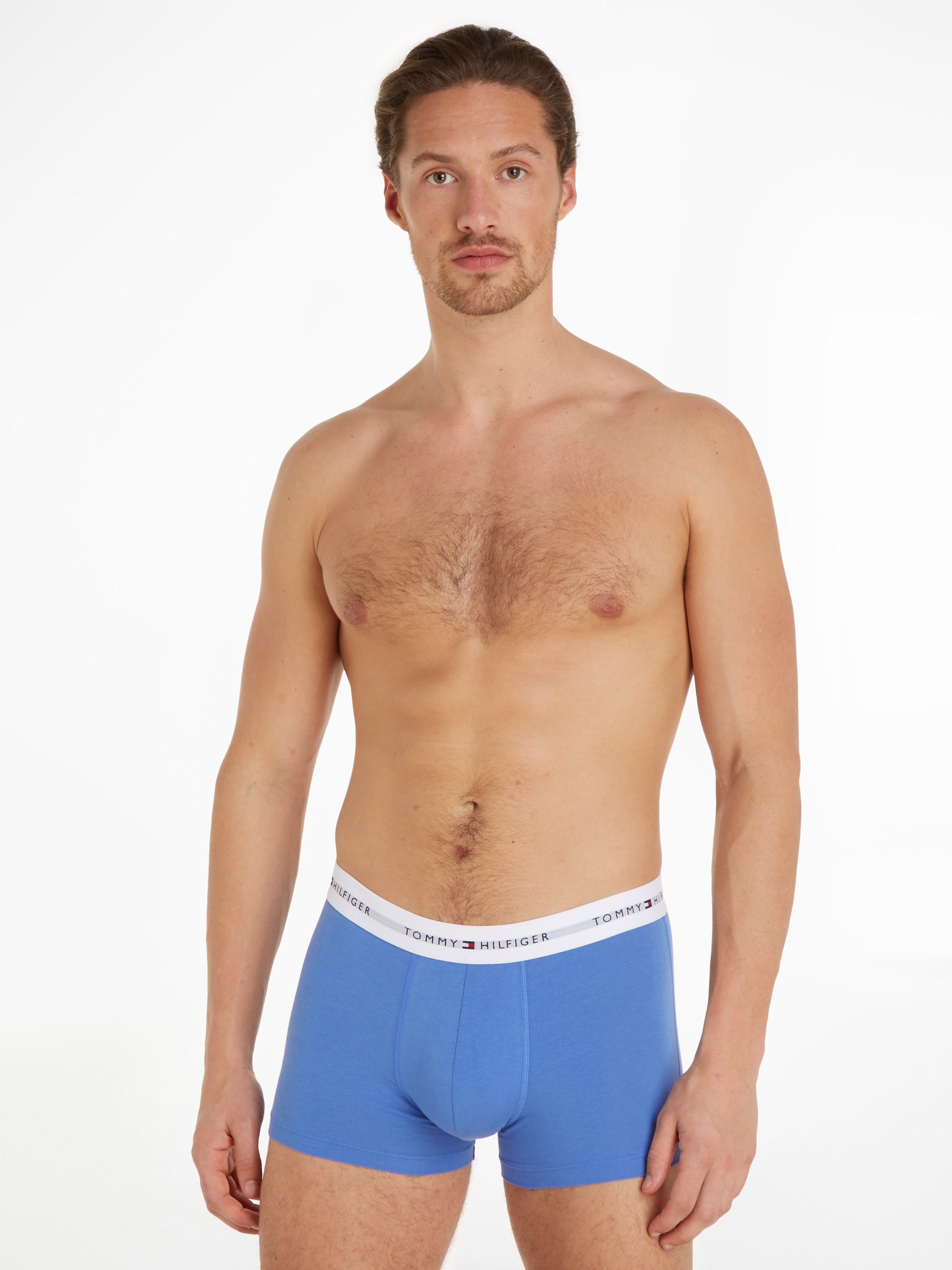 Blue Tommy (Packung, Logoschriftzug Blue Trunk TRUNK Ink/ Hilfiger 3er-Pack) mit PRINT Iris 3P Underwear