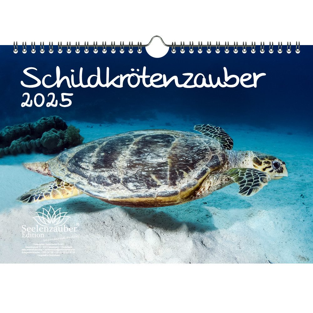 Schildkrötenzauber: Ausmalbilder für Groß und Klein – Entspannung, Kreativität und Spaß!