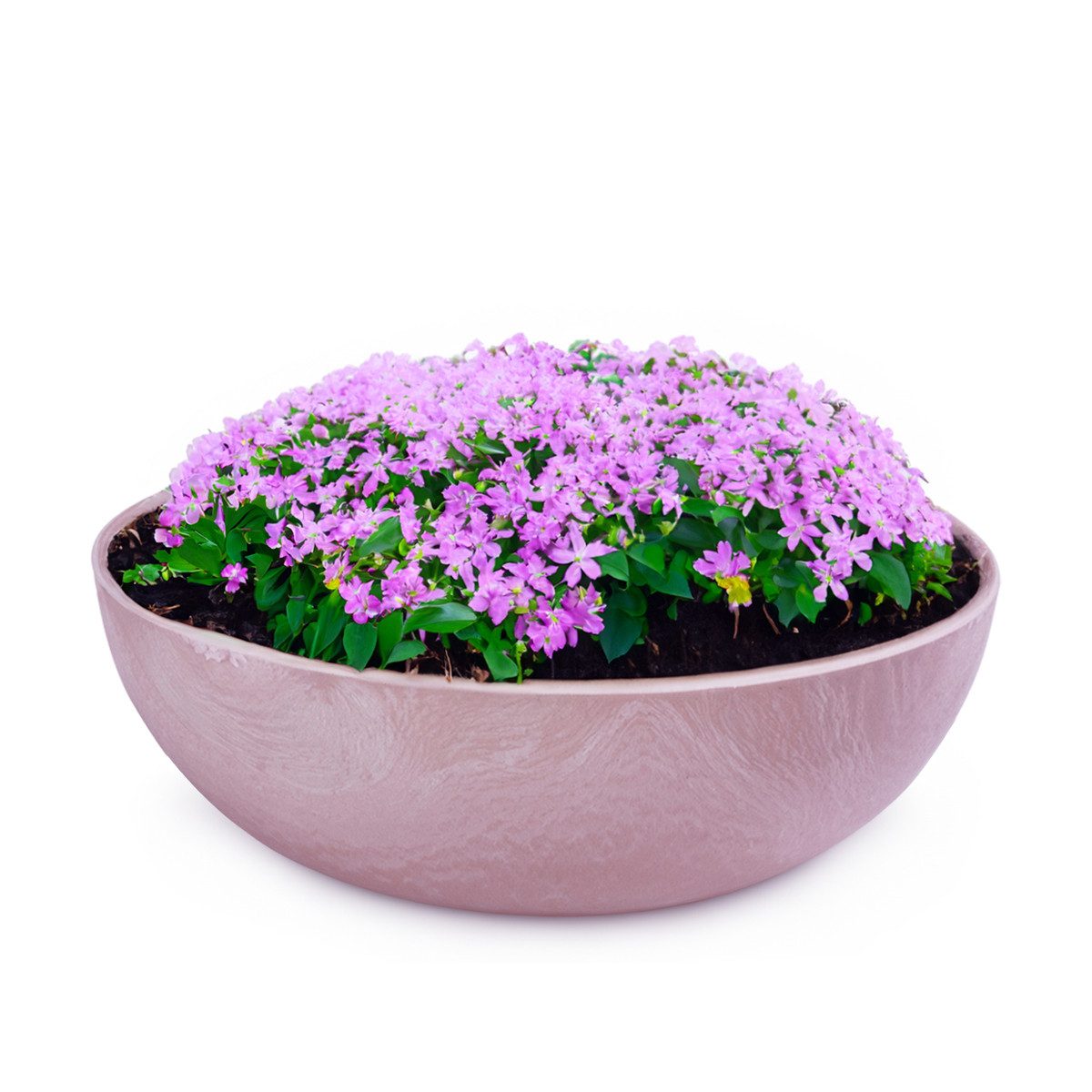 matches21 HOME & HOBBY Blumentopf Pflanzschale für draussen Dekoschale rund alt-rosa marmoriert 20 cm (1 St), Blumen-Schale als wetterfeste Friedhof-Schale Grab-Schmuck Grabschale
