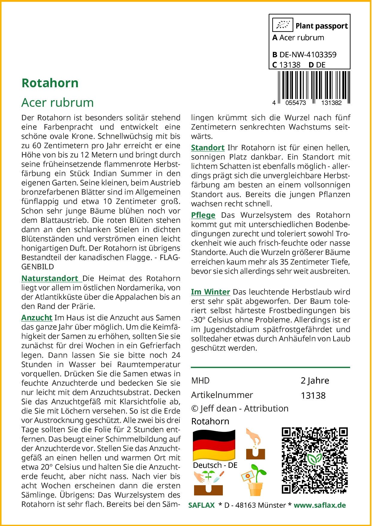 Thumbnail - SAFLAX Blumensamen SAFLAX - Samen - Rotahorn