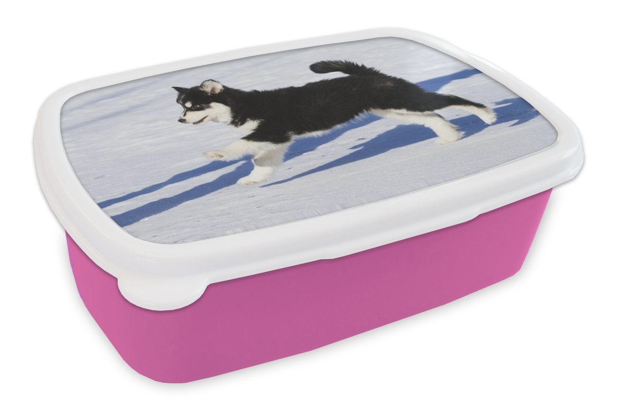 MuchoWow Lunchbox Husky-Welpe läuft über den Schnee, Kunststoff, (2-tlg), Brotbox für Erwachsene, Brotdose Kinder, Snackbox, Mädchen, Kunststoff rosa