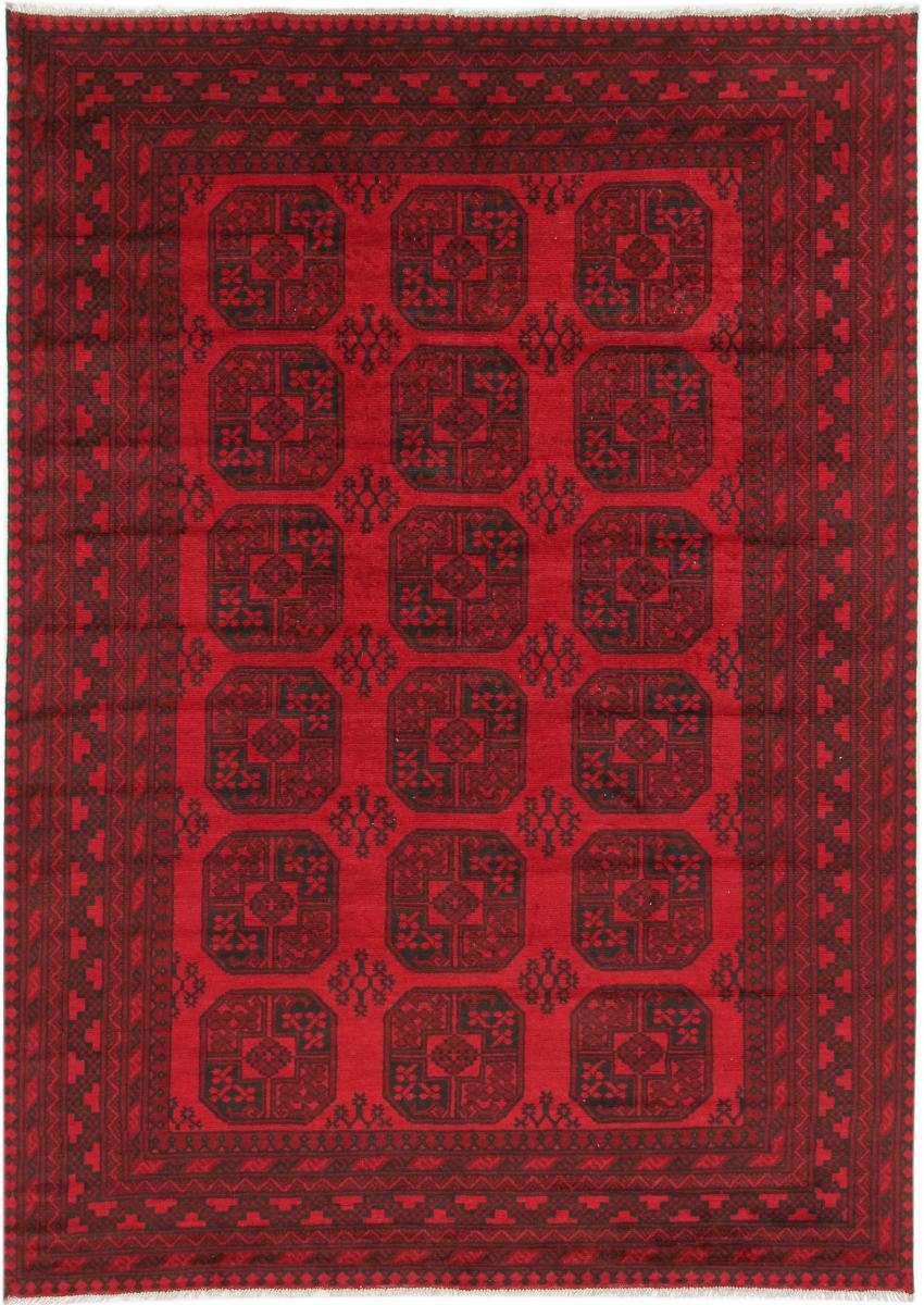 Afghan 6 mm Orientteppich Handgeknüpfter 207x289 Akhche Nain Trading, rechteckig, Orientteppich, Höhe: