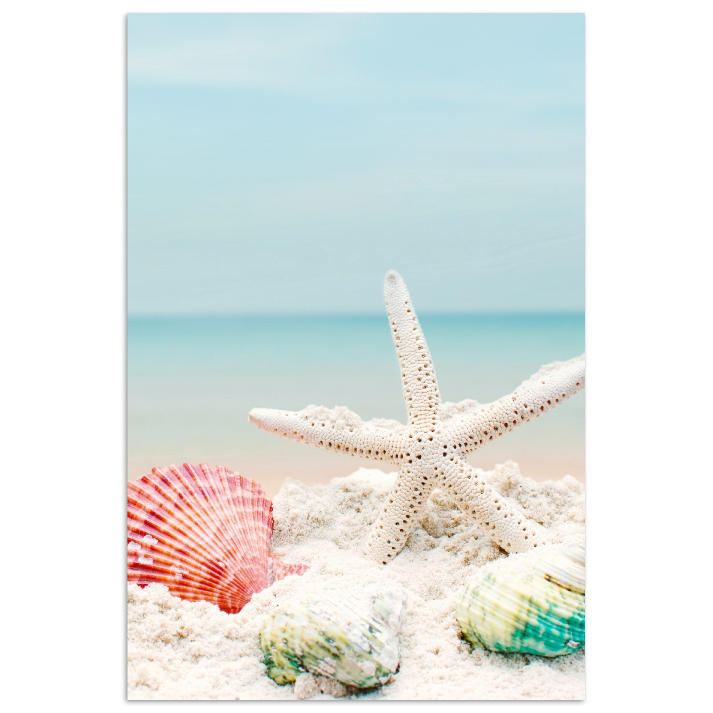 MuchoWow Poster Strand - Seesterne - Muscheln - Meer, (1 St), Poster ohne Rahmen, Wandbild, Wandposter, 20x30 cm