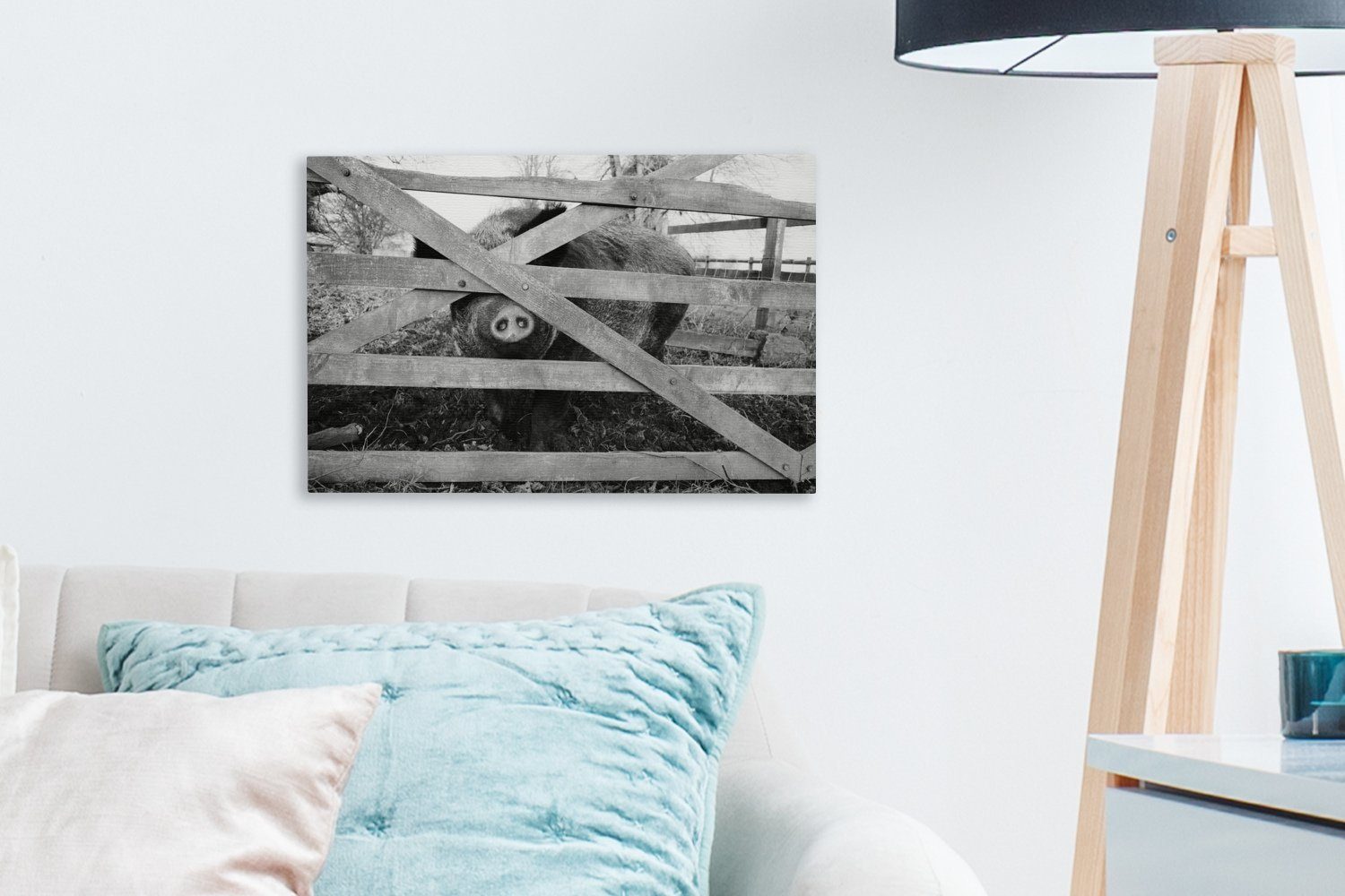 OneMillionCanvasses® Aufhängefertig, weiß, St), hinter Leinwandbild Wanddeko, Wandbild schwarz - und 30x20 Leinwandbilder, (1 einem cm Schwein Zaun