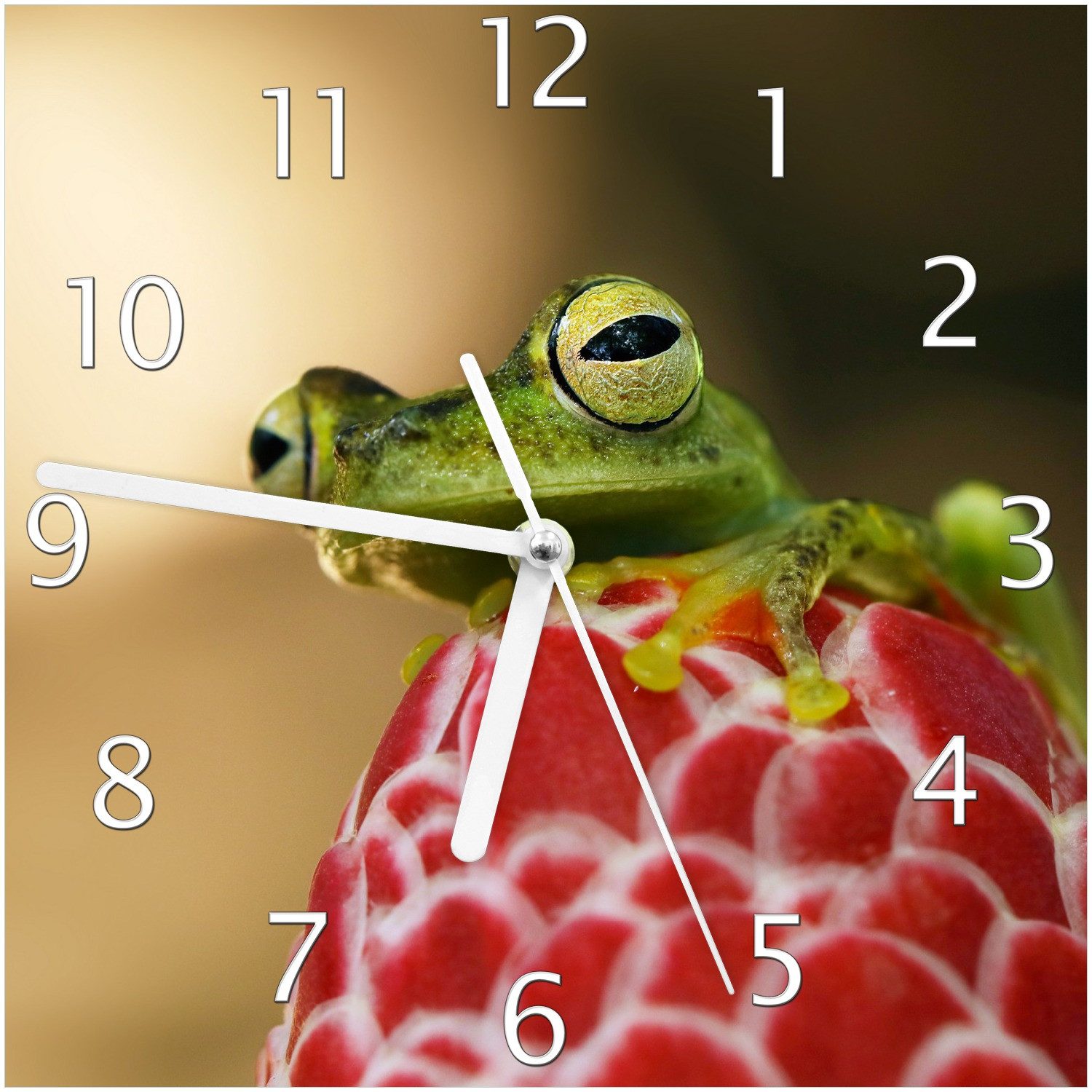 Wallario Wanduhr Frosch sitzt auf einer Knospe (Glasuhr)