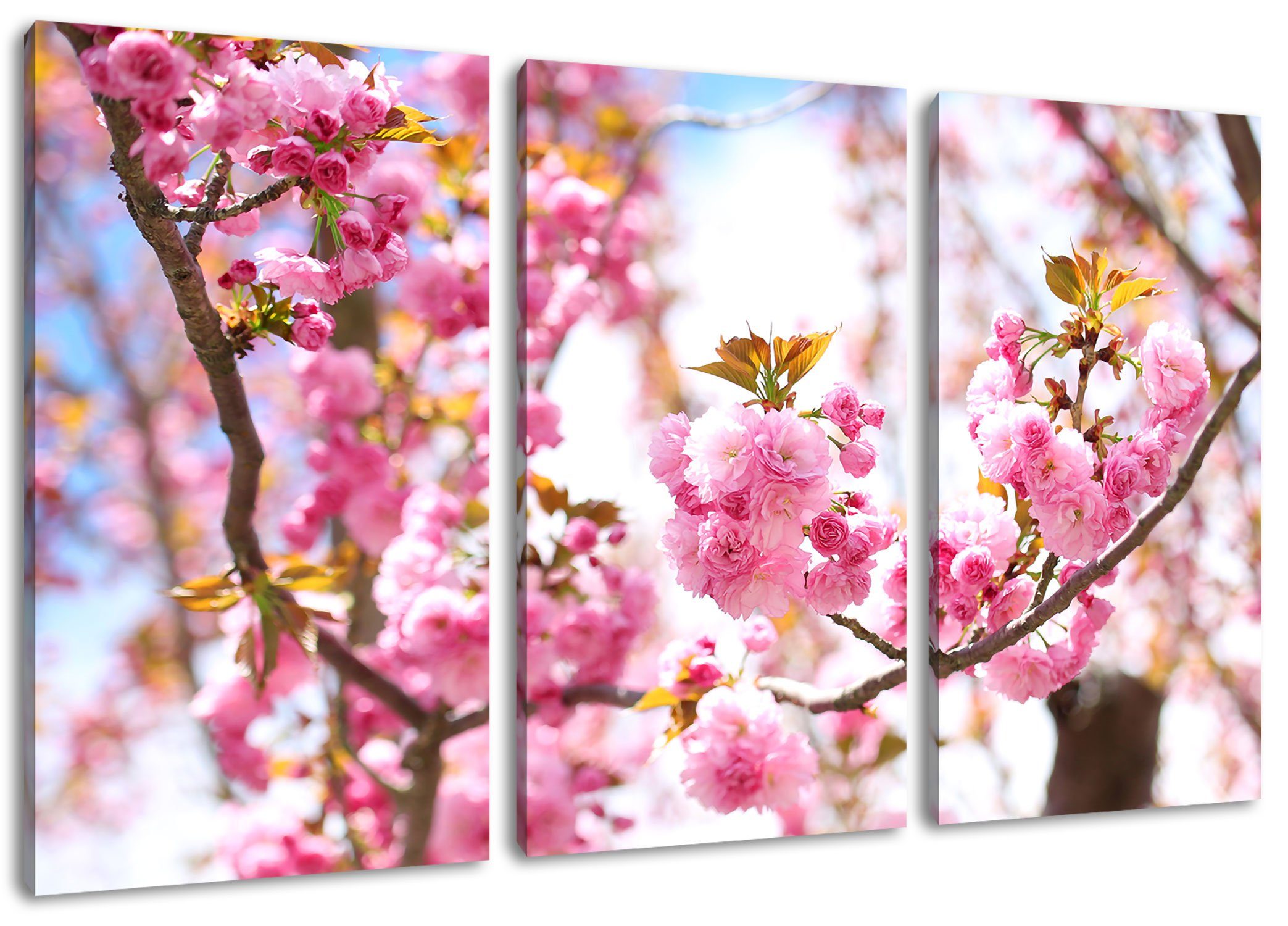 Leinwandbild Pixxprint fertig Kirschblüten Schöne bespannt, (1 Leinwandbild 3Teiler inkl. St), Kirschblüten, Schöne (120x80cm) Zackenaufhänger