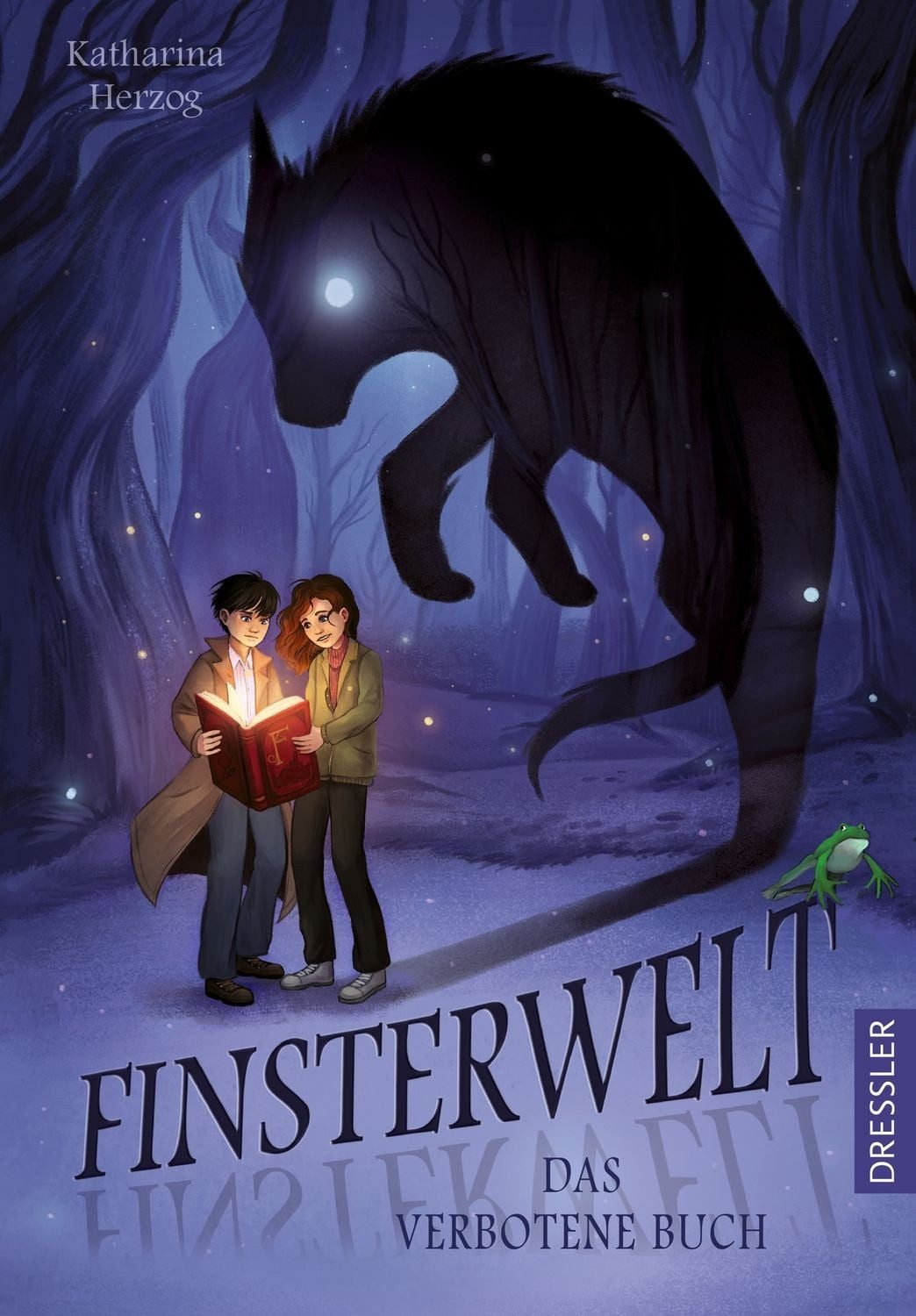 Finsterwelt 1. Das verbotene Buch / Katharina Herzog