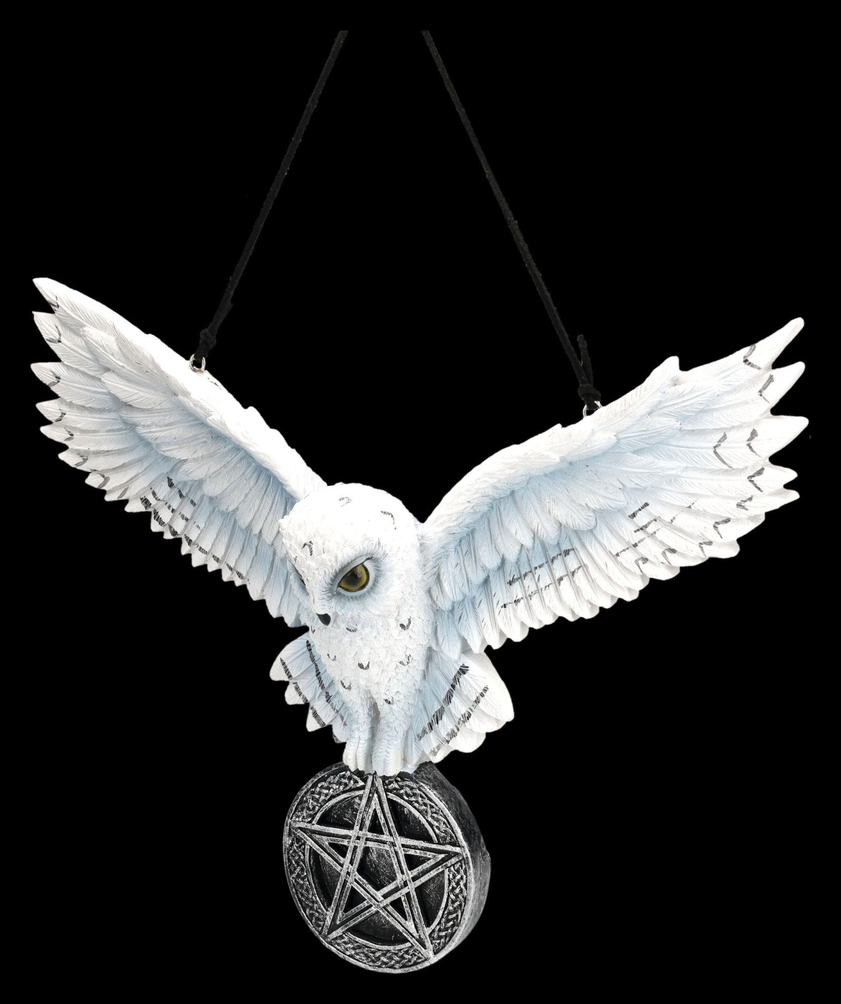Figuren Shop GmbH Wanddekoobjekt Schneeeule Wanddeko – Magische Eulen Statue mit Pentagramm 19 cm