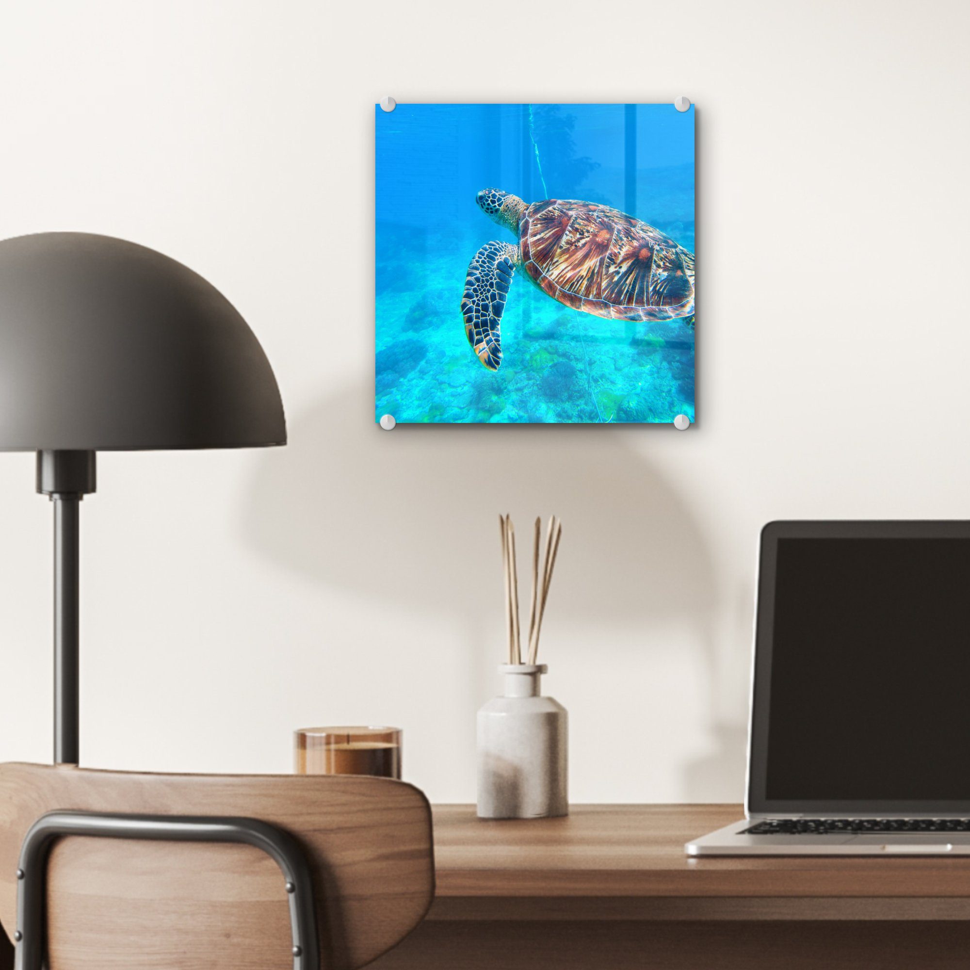MuchoWow Acrylglasbild Schildkröte - - Glas Glasbilder (1 Blau, Wandbild - St), auf Glas - Meer auf Wanddekoration - Bilder Foto