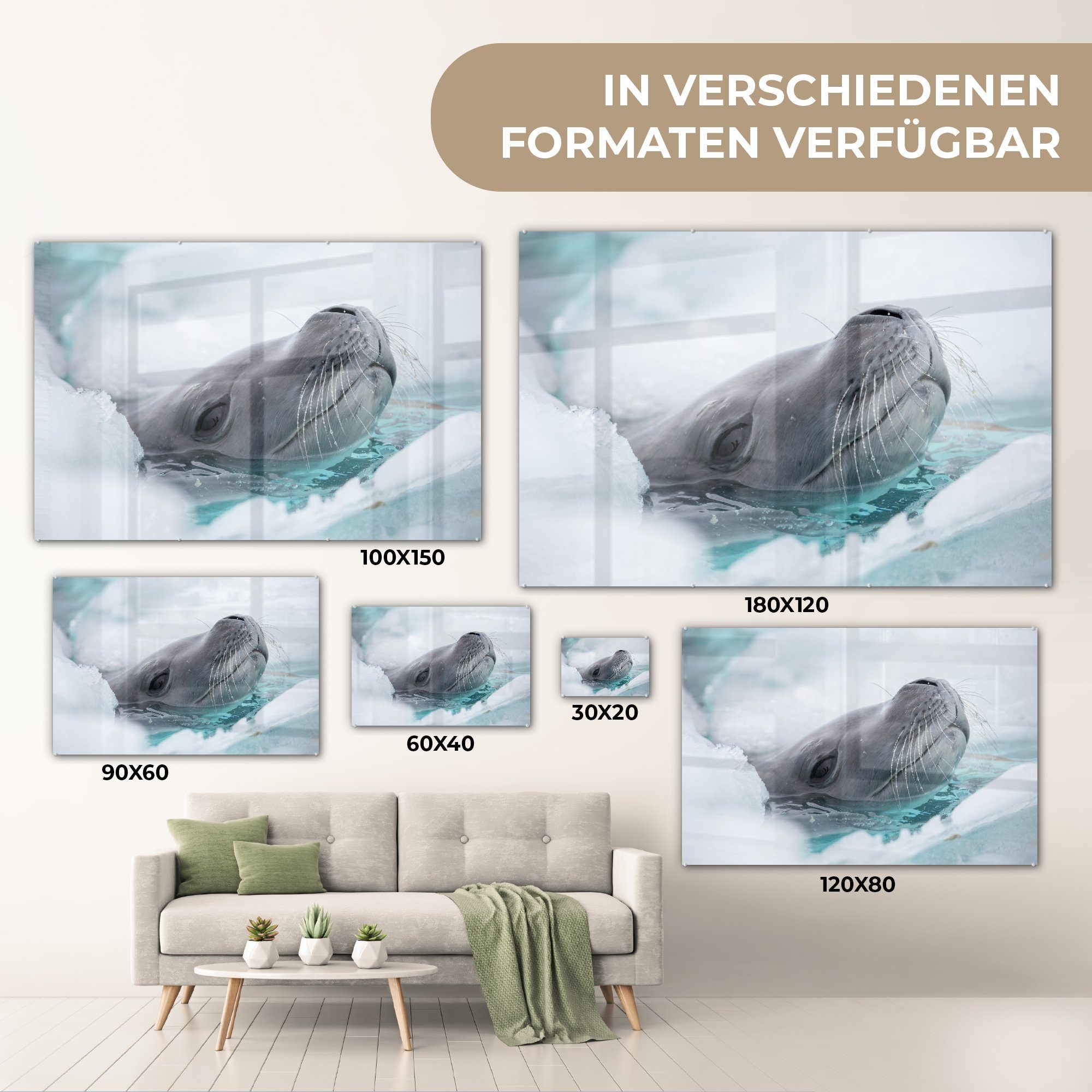 (1 Wasser Acrylglasbild MuchoWow Eis, St), - Tier Schlafzimmer & - Wohnzimmer Acrylglasbilder