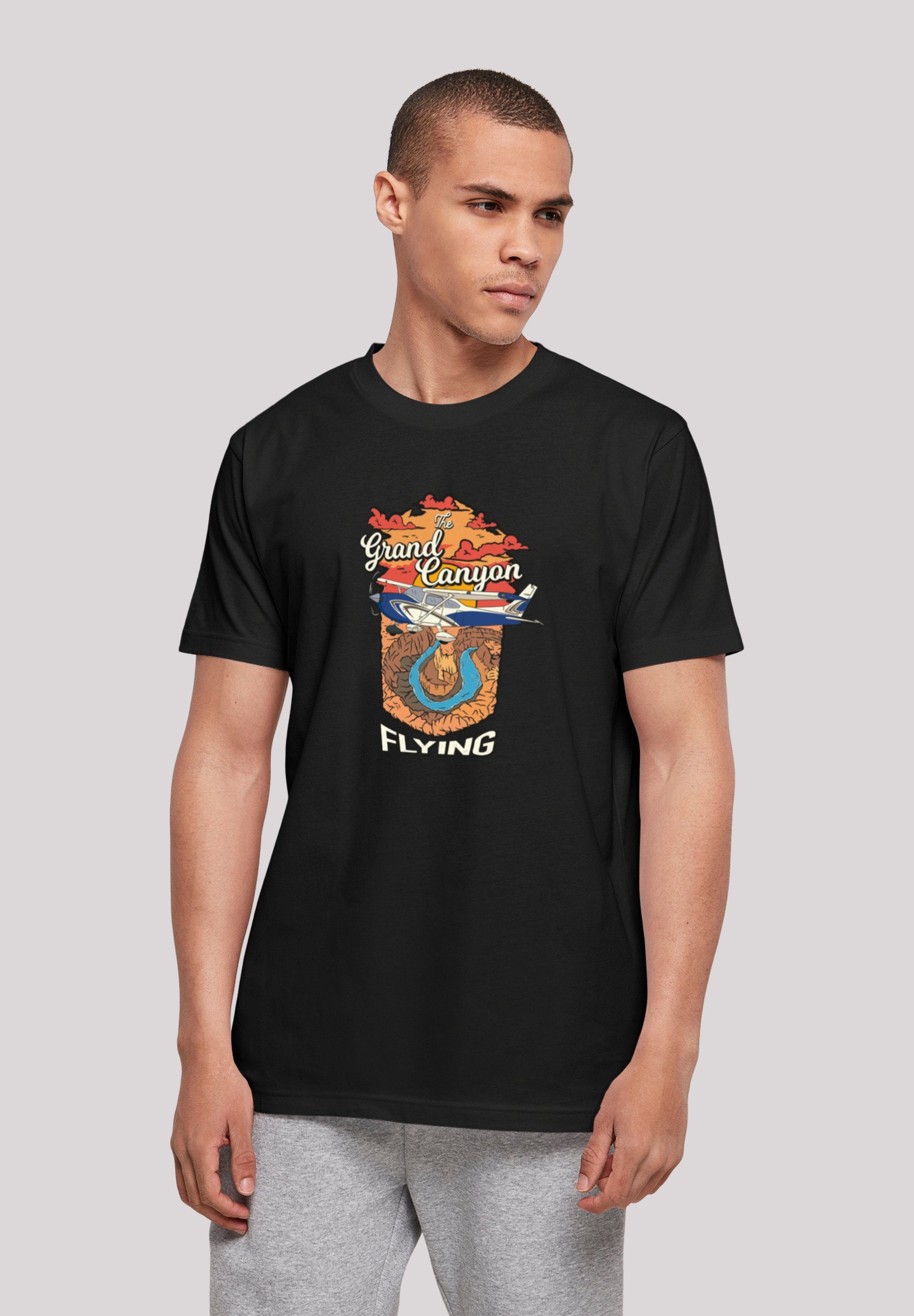 T-Shirt Flying schwarz Grand F4NT4STIC Canyon Print