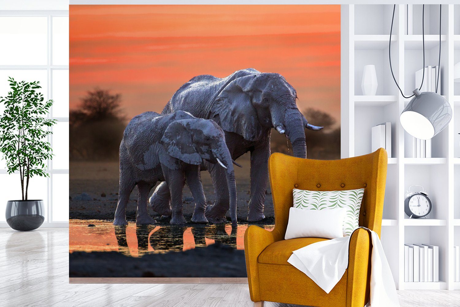 (4 Wohnzimmer Fototapete Orange, - Wasser - Küche, für bedruckt, Tiere - - Matt, Fototapete St), Schlafzimmer Elefant Vliestapete Sonnenuntergang MuchoWow