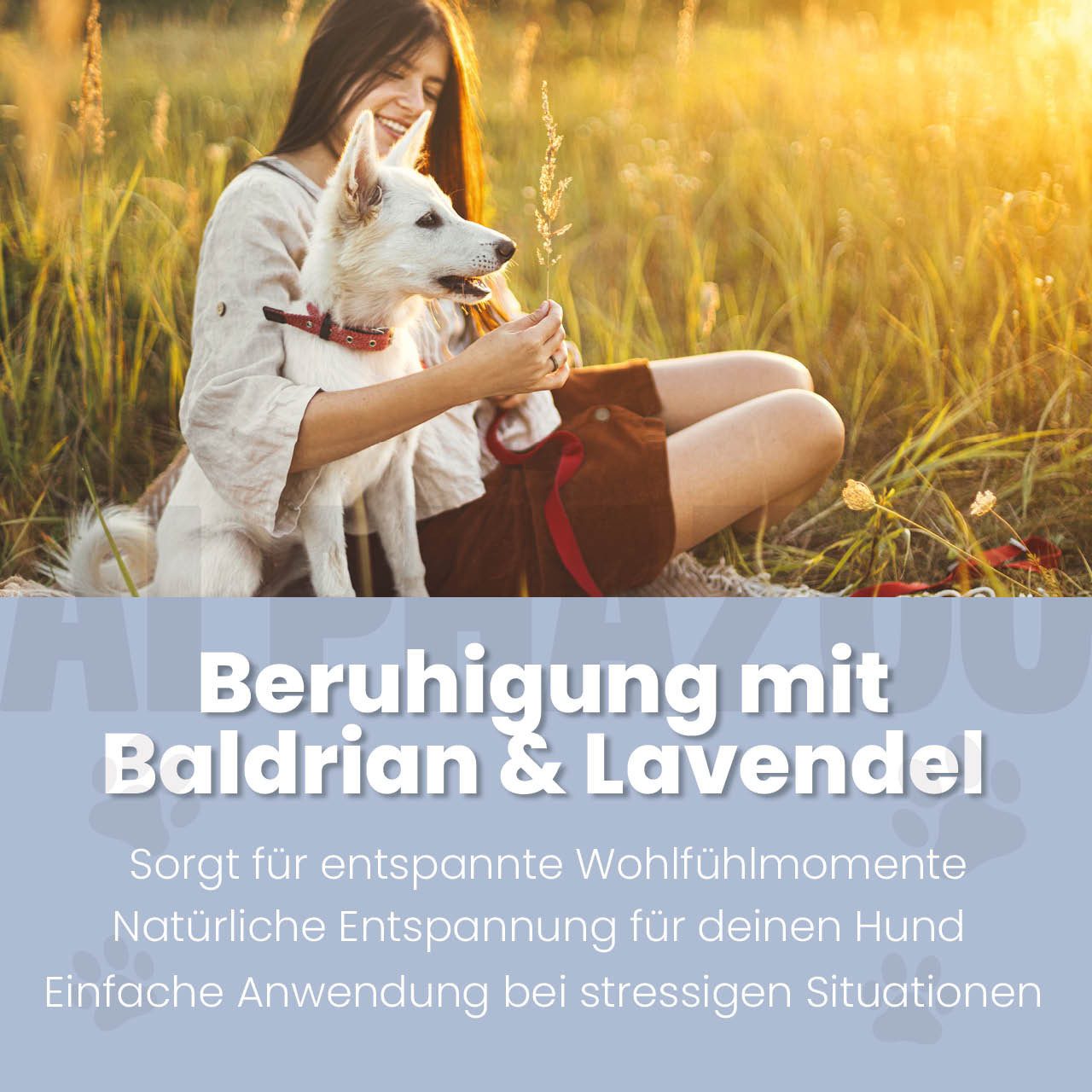 ALPHAZOO Fellpflege Seelenruhe Spray für Hunde 100 ml, 100 ml, Natürliches Anti Stress Beruhigungsmittel I mit Baldrian