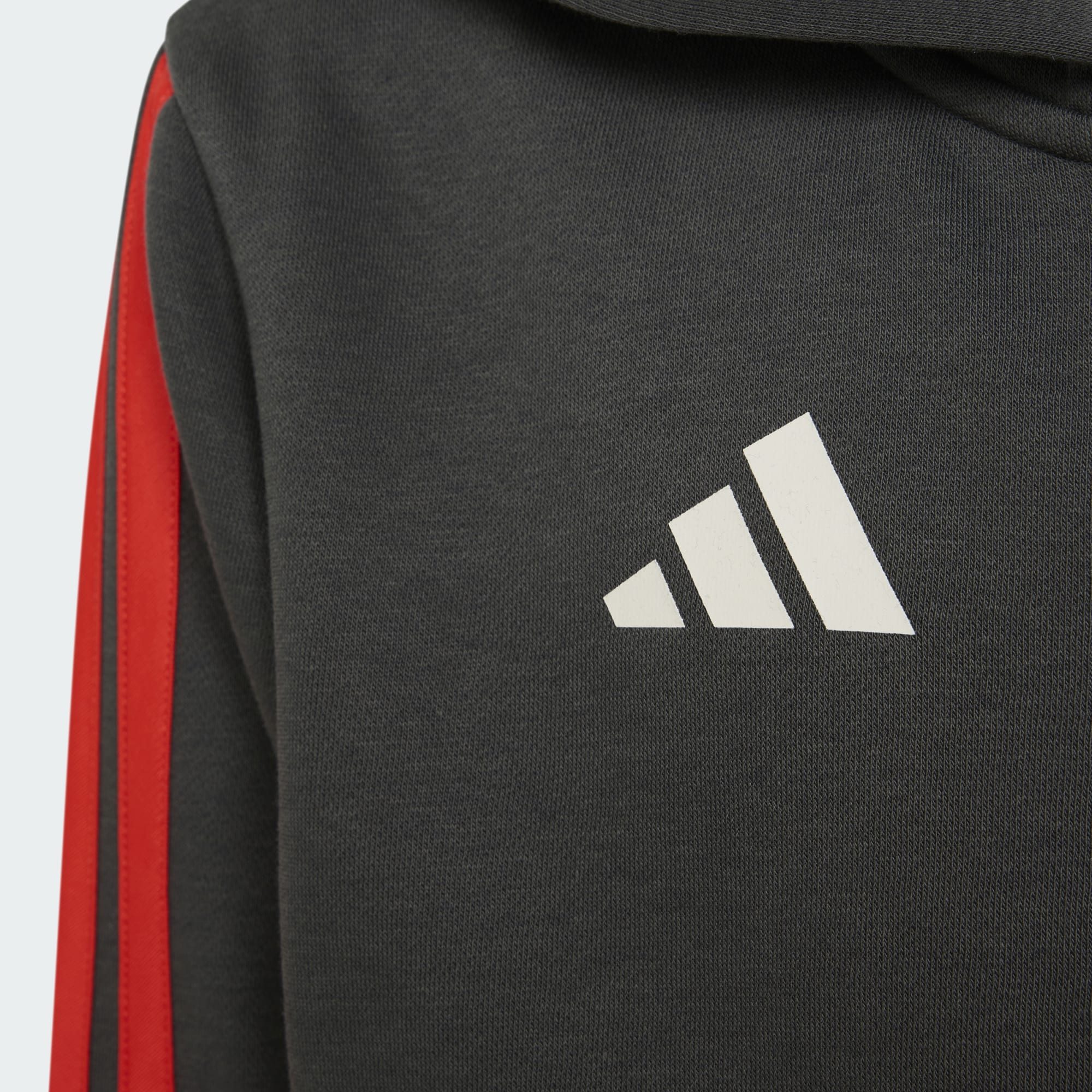 adidas Performance Kapuzensweatjacke AUDI REVOLUT F1 TEAM DNA FULL ZIP HOODIE (1-tlg)