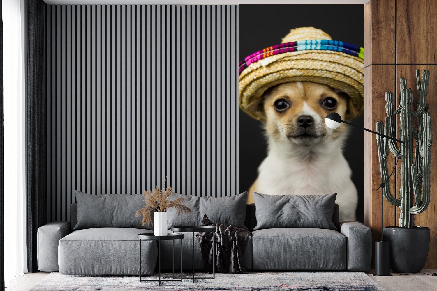 MuchoWow Fototapete Hund - Sombrero (2 - für Vliestapete Schlafzimmer Matt, Küche, Fototapete Schwarz, bedruckt, St), Wohnzimmer