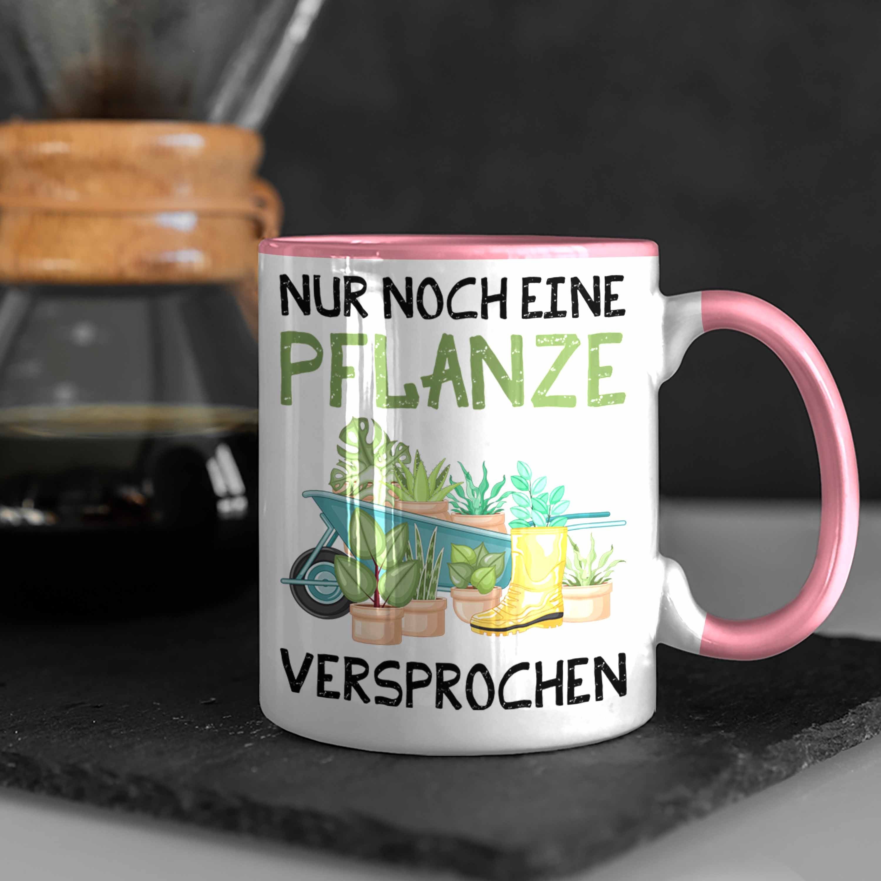 Tasse Pflanze Rosa Eine Nur Hobbyg Gärtner Tasse Garten Versprochen Geschenk Trendation Noch