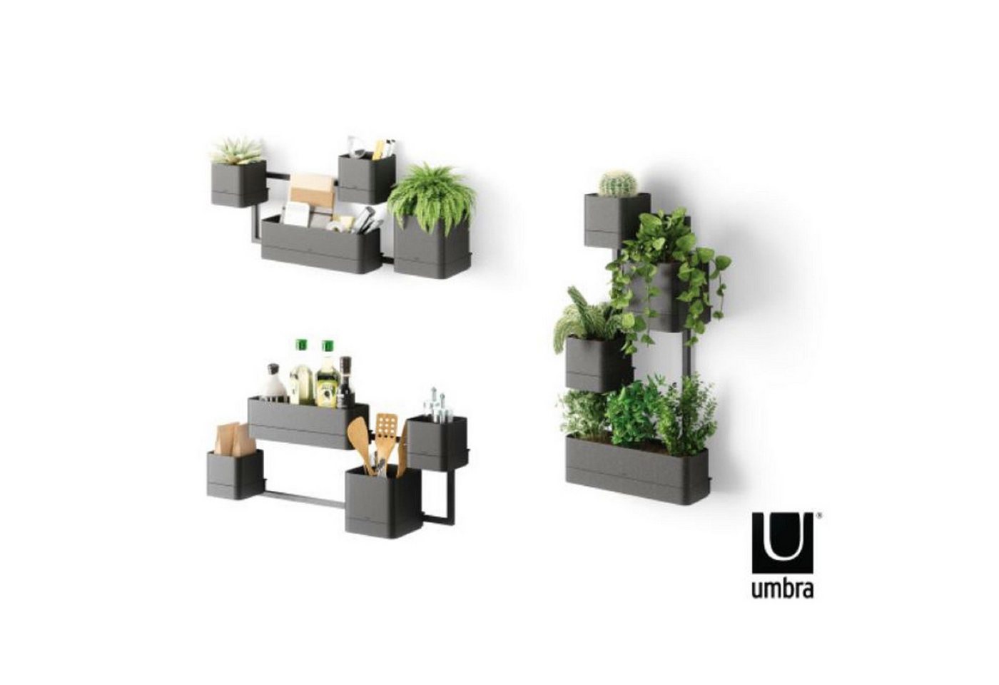 Thumbnail - Umbra Blumenkasten Cubiko Wandpflanzkasten black