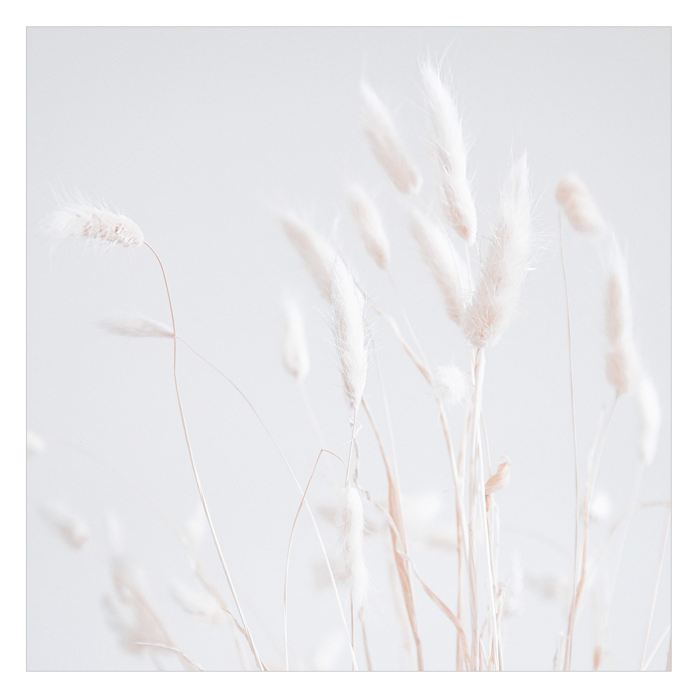 Bilderdepot24 Fototapete Blumen Zeit für Romantik Blumentapete Floral Natur günstig online kaufen