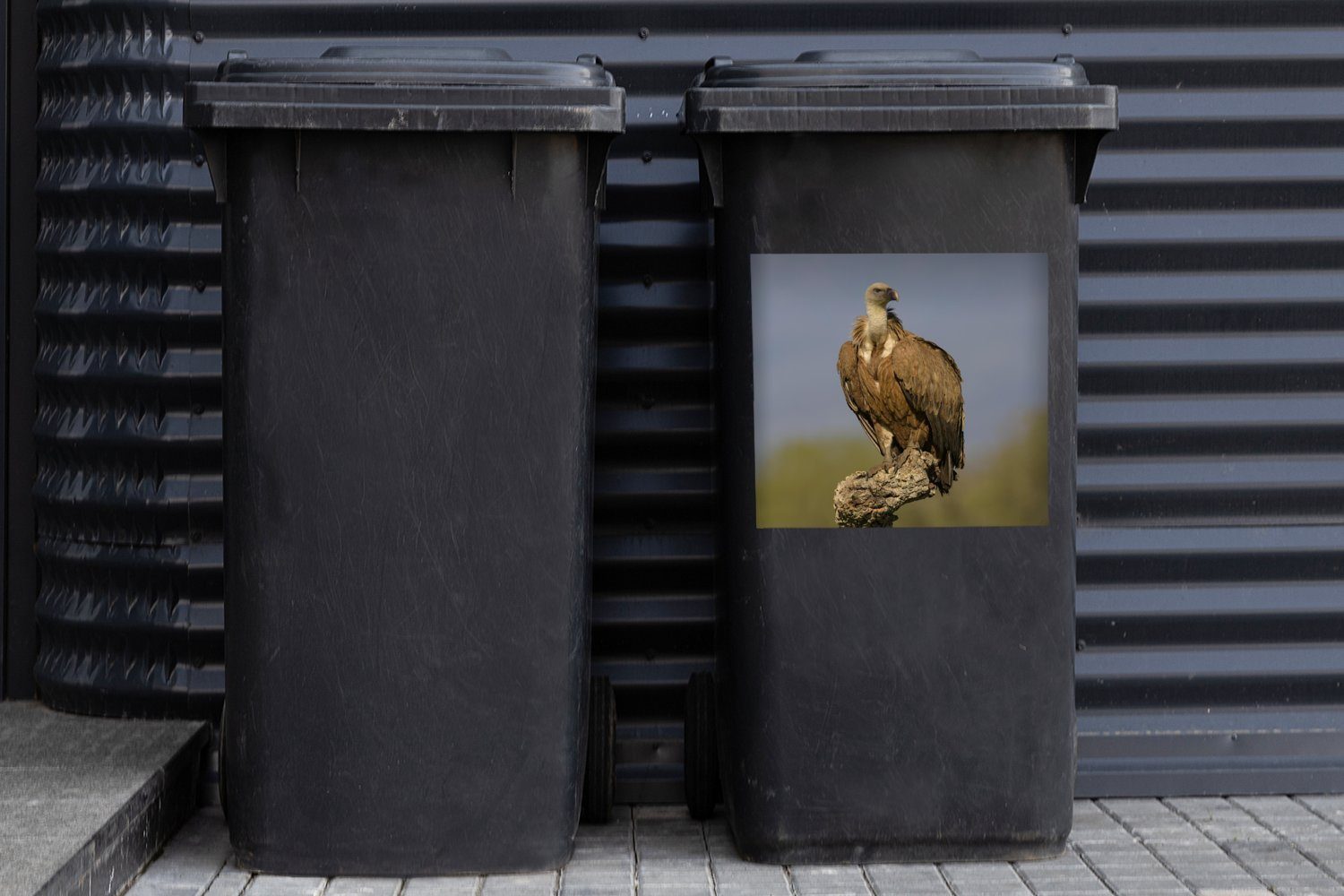 MuchoWow Wandsticker Junger Gänsegeier Container, (1 Mülleimer-aufkleber, Ast einer Sticker, Korkeiche St), Mülltonne, dem Abfalbehälter auf