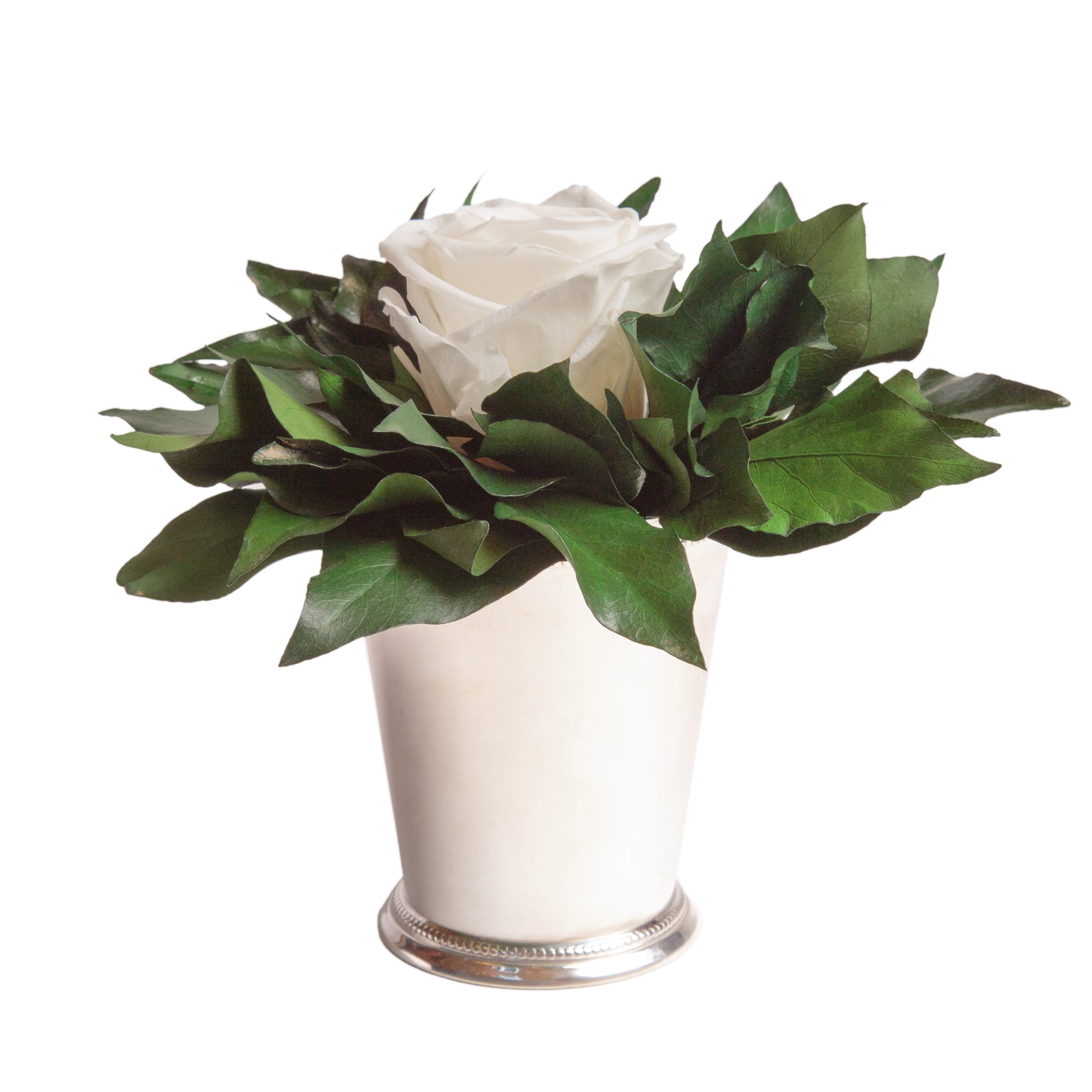 Kunstblumenstrauß Blumengesteck 1 Infinity Rose Becher silberfarben Geschenk für Frauen Rose, ROSEMARIE SCHULZ Heidelberg, Höhe 12 cm, Echte Rose lange haltbar, Made in Germany