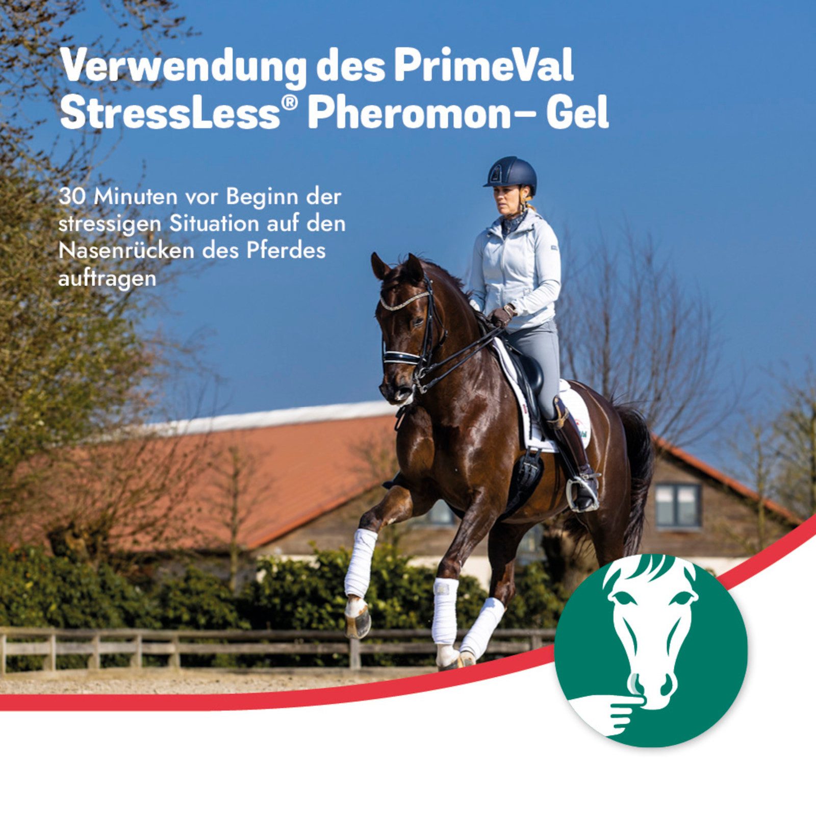 PrimeVal Stressless Pheromon-Gel für Pferde, beruhigendes Ergänzungsfuttermi..., Ergänzungsfutter für: Pferde