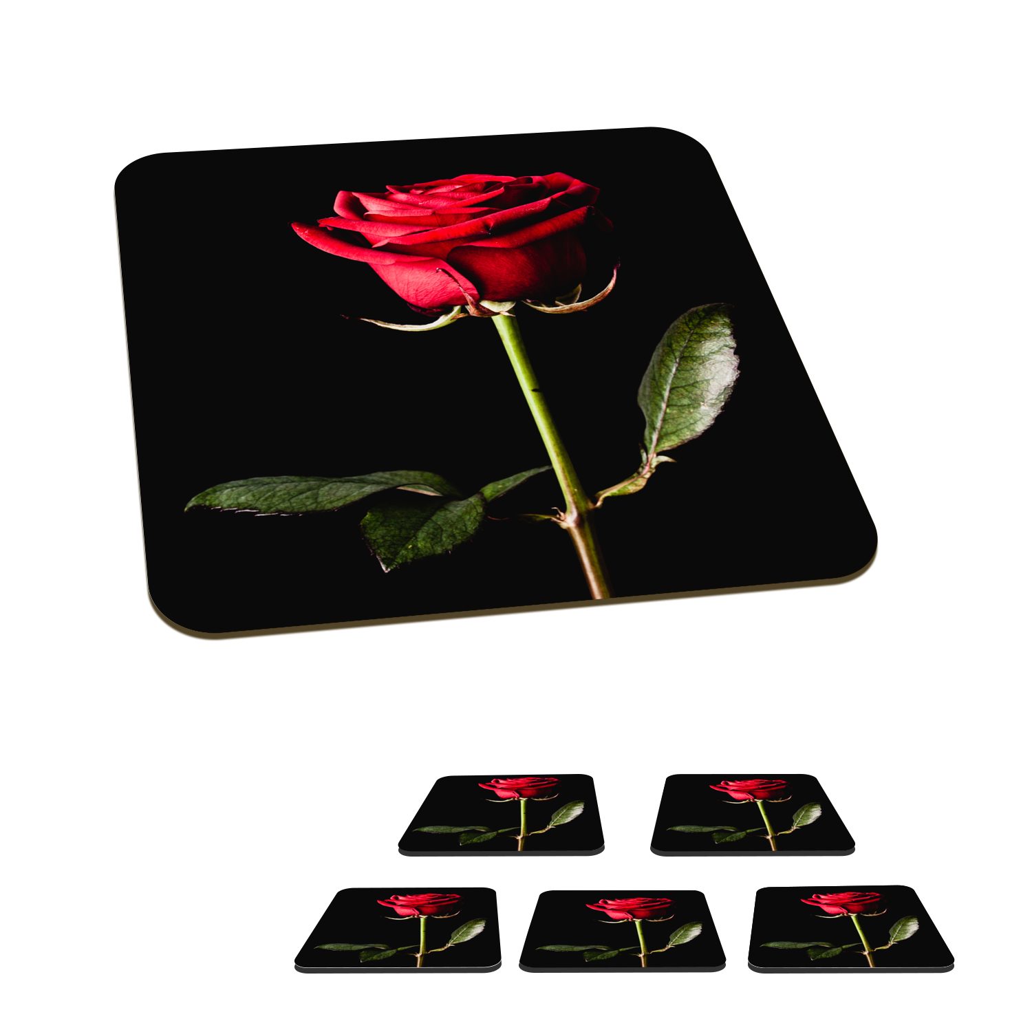 MuchoWow Glasuntersetzer Eine rote Rose auf schwarzem Hintergrund, Zubehör für Gläser, 6-tlg., Glasuntersetzer, Tischuntersetzer, Korkuntersetzer, Untersetzer, Tasse