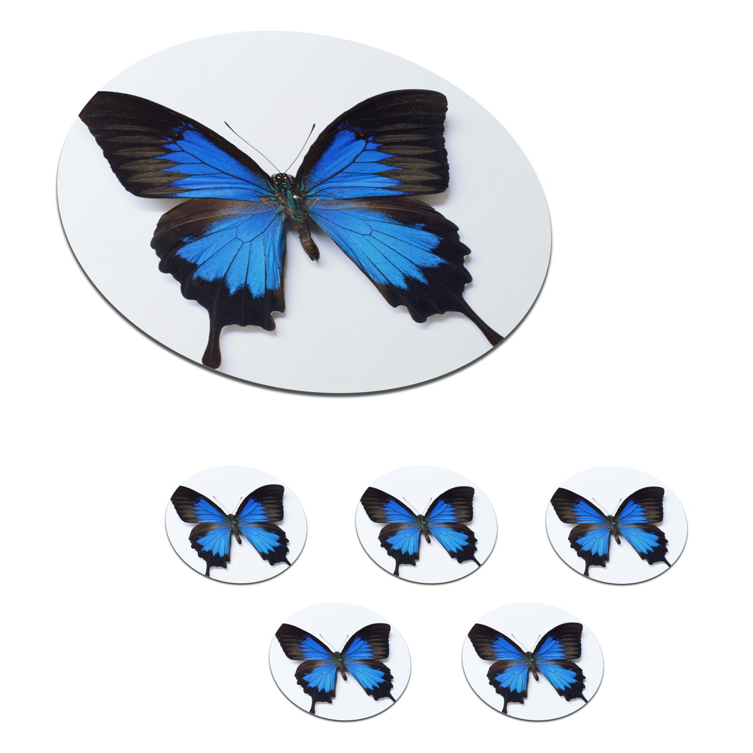 MuchoWow Glasuntersetzer Schmetterling - Insekten - Blau, Zubehör für Gläser, 6-tlg., Getränkeuntersetzer, Tassenuntersetzer, Korkuntersetzer, Tasse, Becher