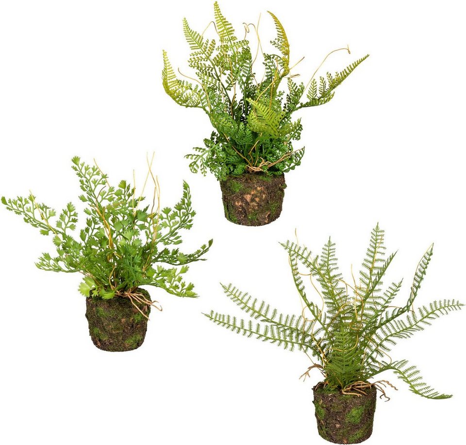Künstliche Zimmerpflanze Set aus Farnpflanzen auf Wurzelballen Farn,  Creativ green, Höhe 22 cm, 3er Set