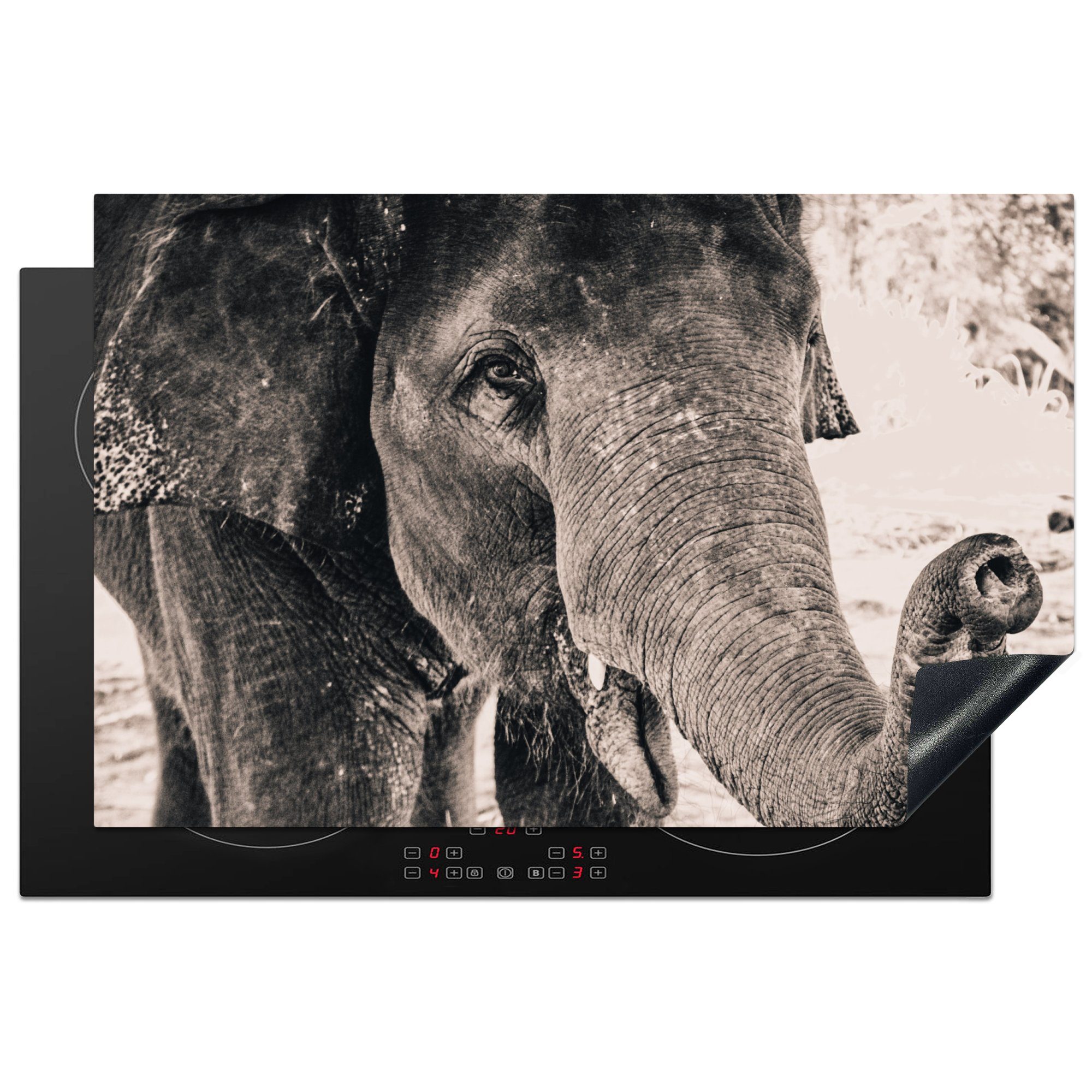 MuchoWow Herdblende-/Abdeckplatte Elefant - Porträt - Schwarz - Weiß, Vinyl, (1 tlg), 81x52 cm, Induktionskochfeld Schutz für die küche, Ceranfeldabdeckung