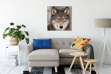 Pixxprint Leinwandbild Wachsamer Wolf, Wachsamer Wolf (1 St), Leinwandbild fertig bespannt, inkl. Zackenaufhänger