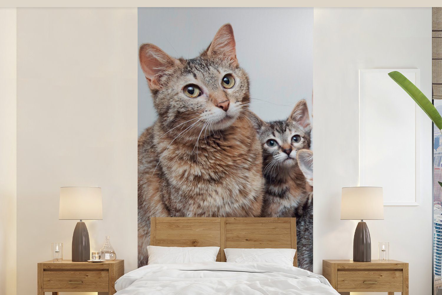 MuchoWow Fototapete Katze - Kätzchen - Fell, Matt, bedruckt, (2 St), Vliestapete für Wohnzimmer Schlafzimmer Küche, Fototapete | Fototapeten
