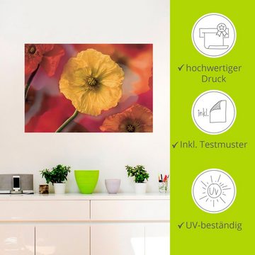 Artland Wandbild Fotokollage Mohnblumen, Blumenbilder (1 St), als Leinwandbild, Wandaufkleber in verschied. Größen