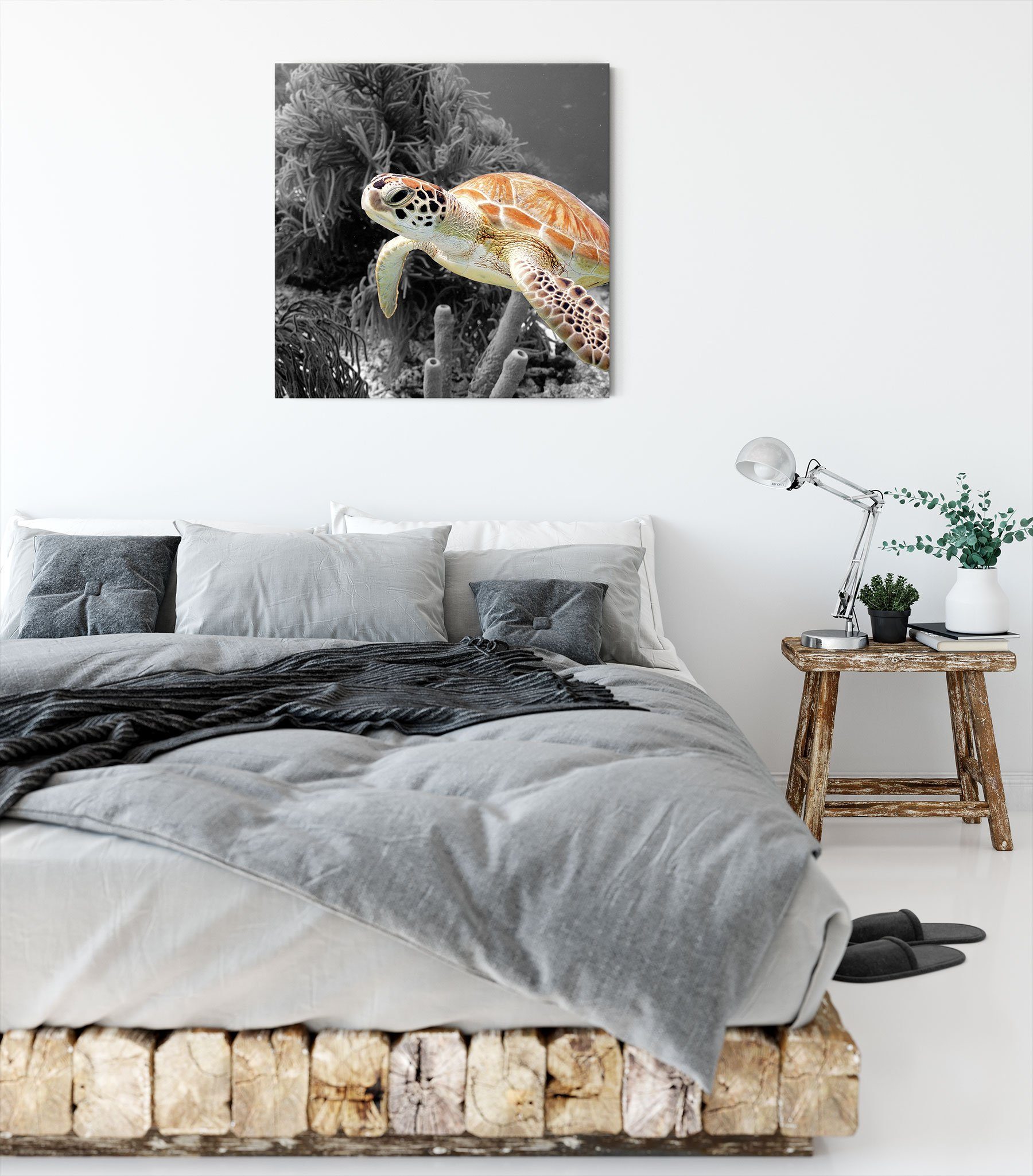 Leinwandbild (1 inkl. fertig St), Meeresschildkröte, Leinwandbild Meeresschildkröte wunderschöne Zackenaufhänger Pixxprint bespannt, wunderschöne