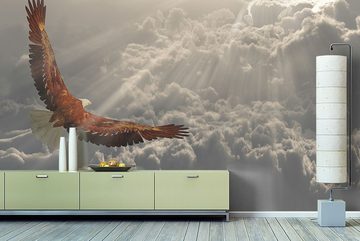WandbilderXXL Fototapete Fliegender Adler, glatt, Weltall, Vliestapete, hochwertiger Digitaldruck, in verschiedenen Größen
