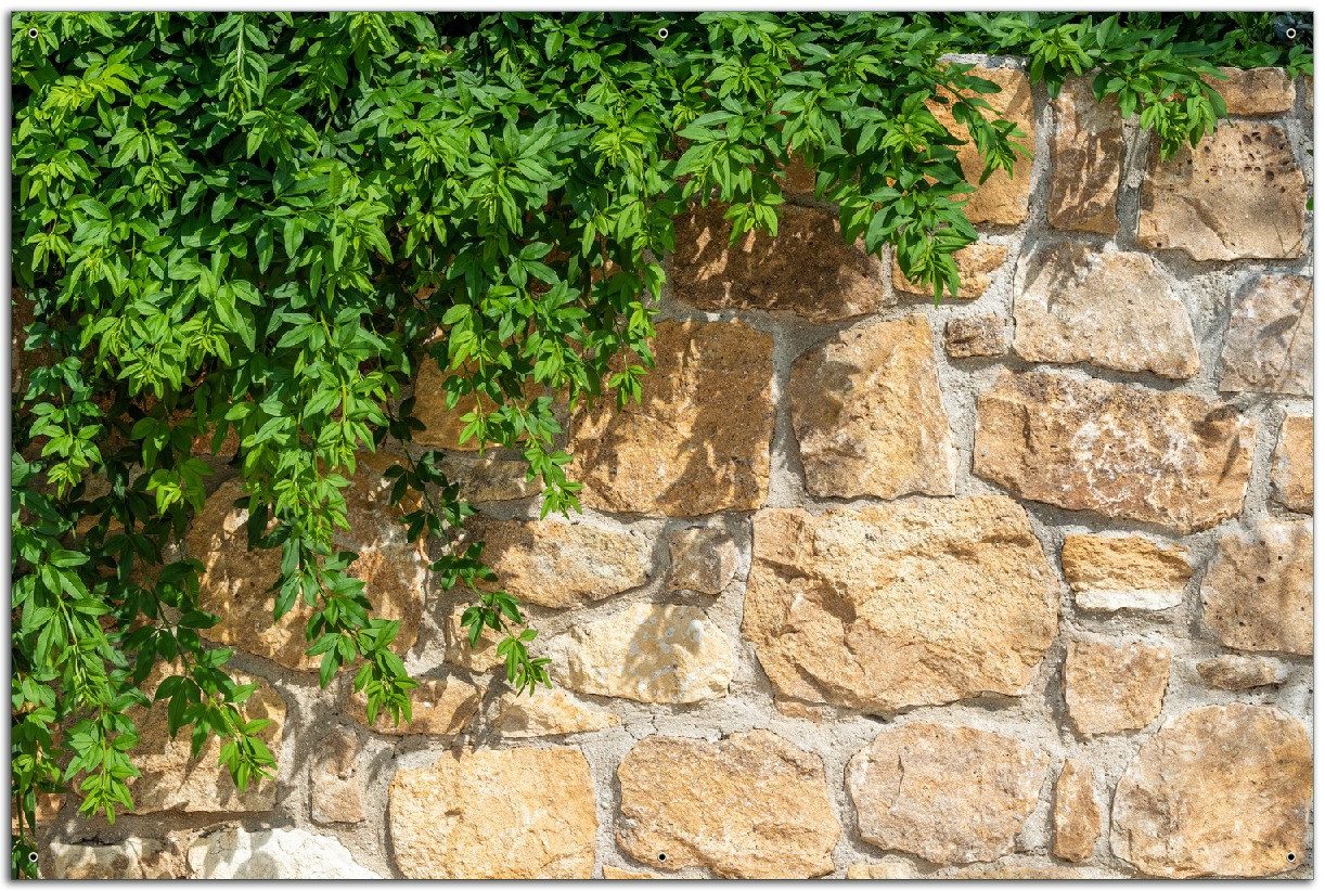 Wallario Sichtschutzzaunmatten Natursteinwand mit Ranken