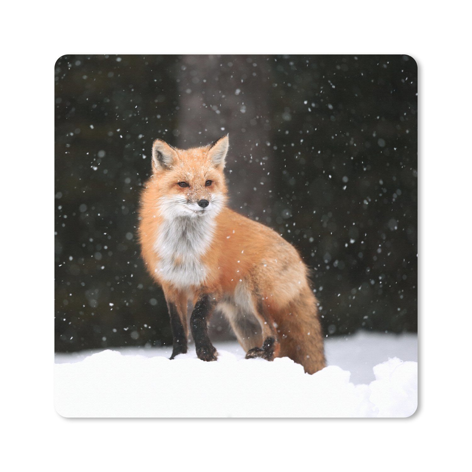 MuchoWow Mauspad Fuchs - Schnee - Winter (1-St), Mousepad, PC Zubehör, Gaming Dekoration, Desk Mat, 60x60 cm