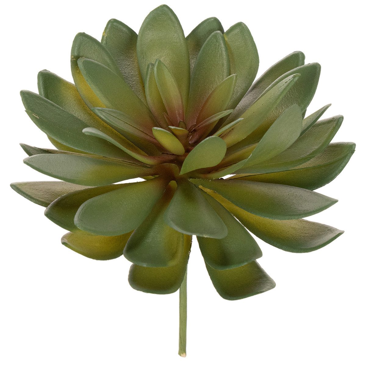 Kunstkaktus Künstliche Sukkulente für stilvolle Dekorationen in Innenräumen, 3 St, Florists Products, Höhe 18 cm