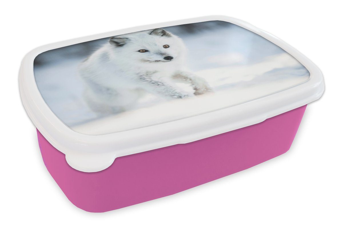 MuchoWow Lunchbox Fuchs - Weiß - Schnee, Kunststoff, (2-tlg), Brotbox für Erwachsene, Brotdose Kinder, Snackbox, Mädchen, Kunststoff rosa