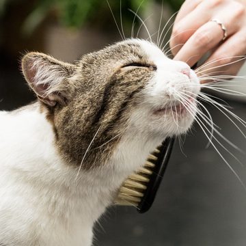 LucyBalu Fellbürste FIGARO für Katzen, Drei Varianten für verschiedene Katzentypen: Natur, Metall, Vegan, für Katzen mit kurzem und langem Fell