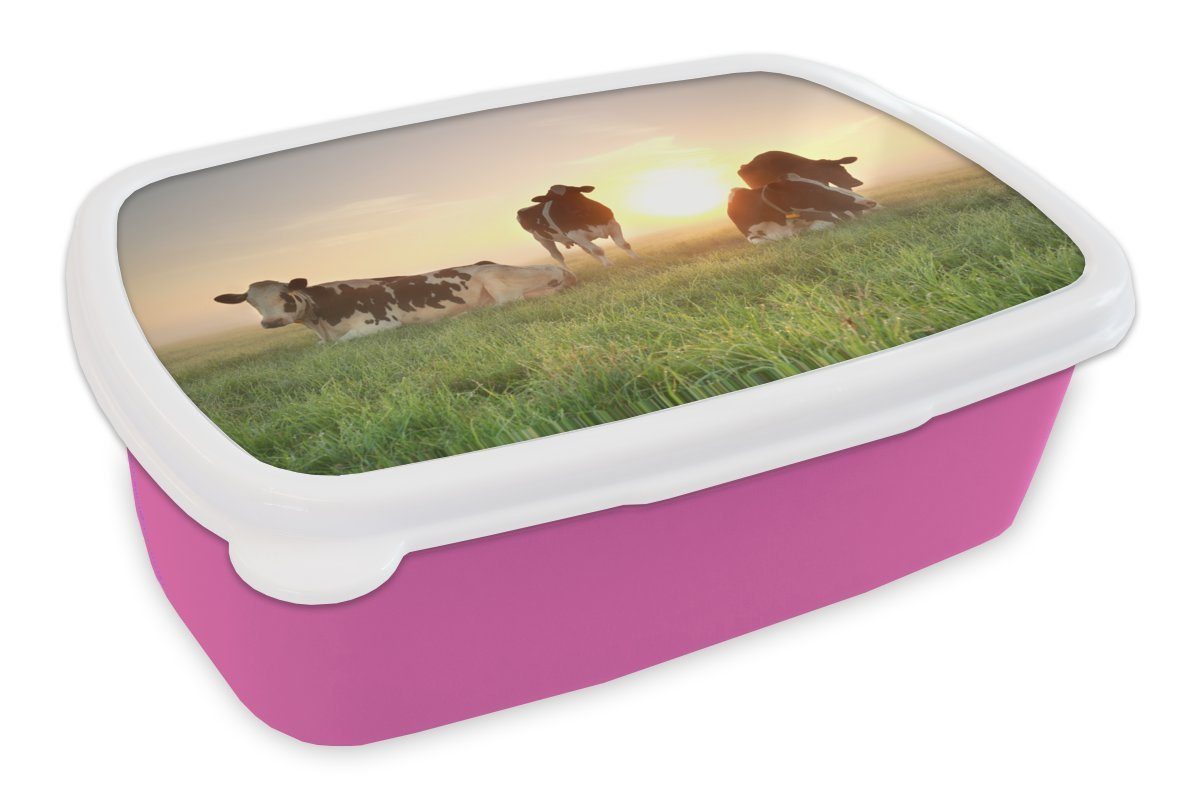 MuchoWow Lunchbox Kuh - Snackbox, für Sonne Kinder, Mädchen, Brotbox Erwachsene, Gras, Brotdose (2-tlg), rosa Kunststoff Kunststoff, 