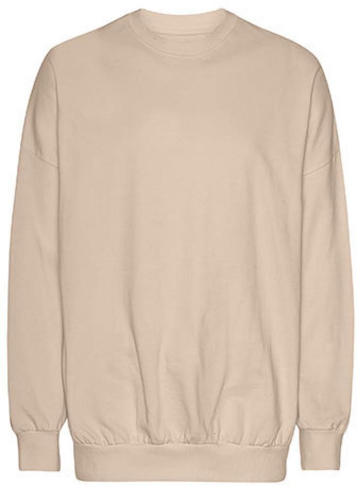 Neutral Sweatshirt Oversized Sweatshirt Unisex