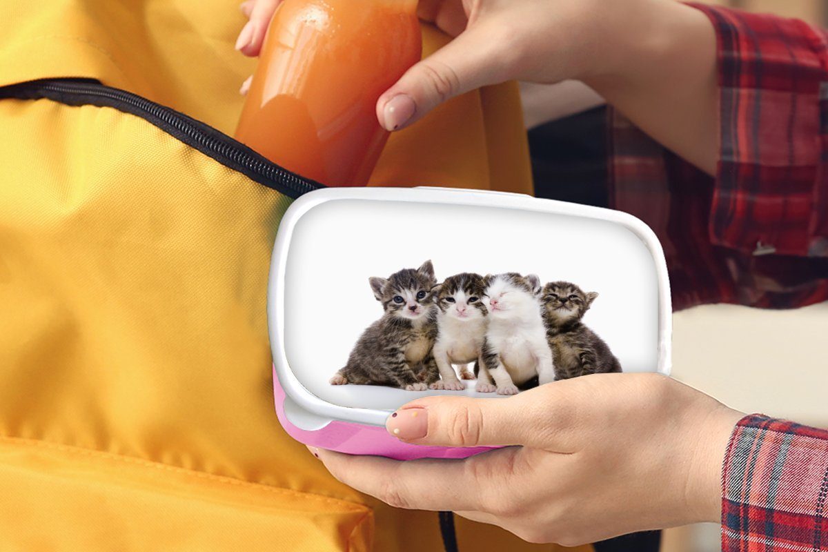 Katze - Haustiere Lunchbox - Porträt, Brotbox - Kunststoff, MuchoWow Kunststoff rosa Fell Brotdose Erwachsene, (2-tlg), Mädchen, Snackbox, Kinder, für